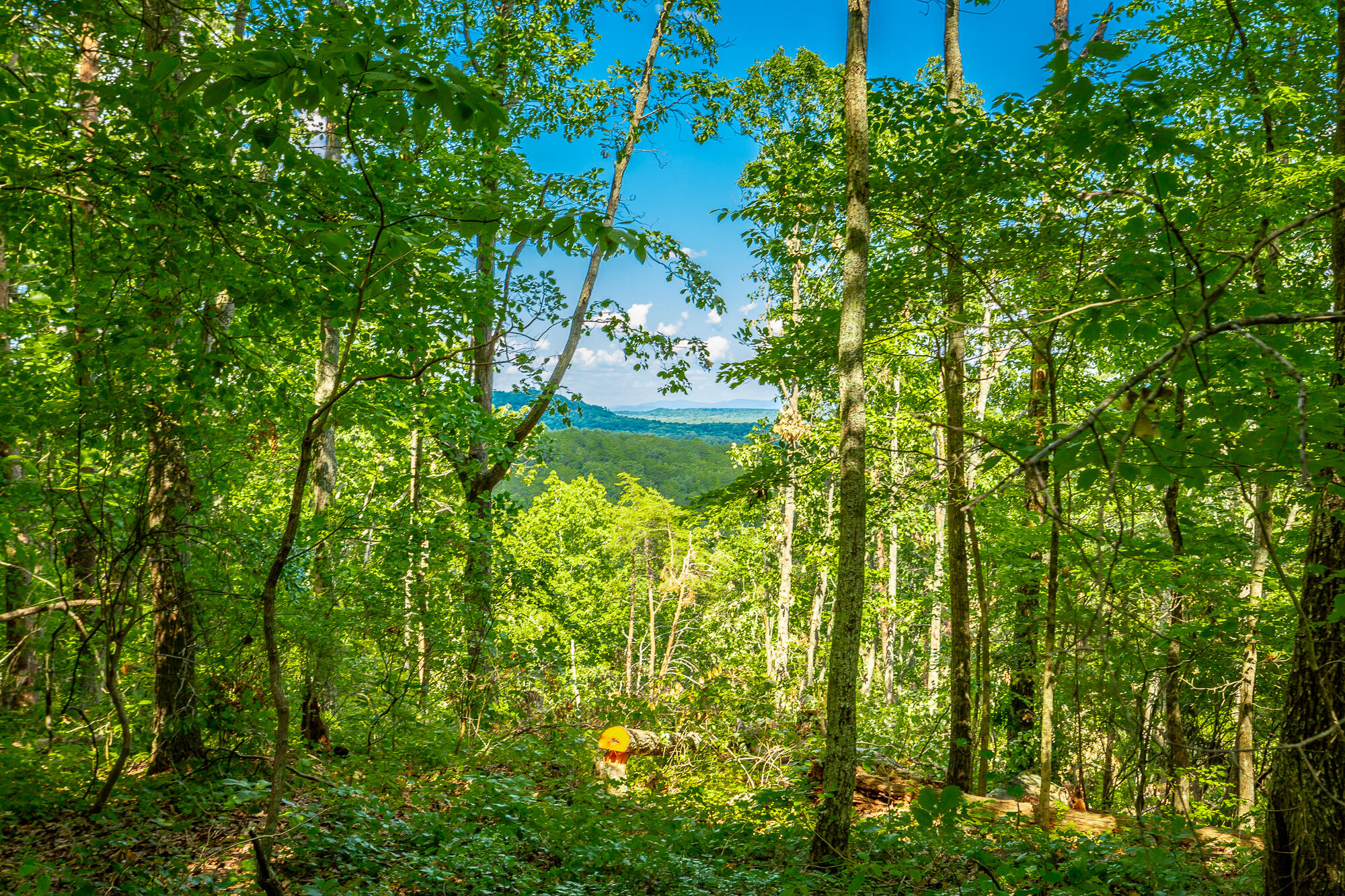 0 Clearview Drive, Lot 1