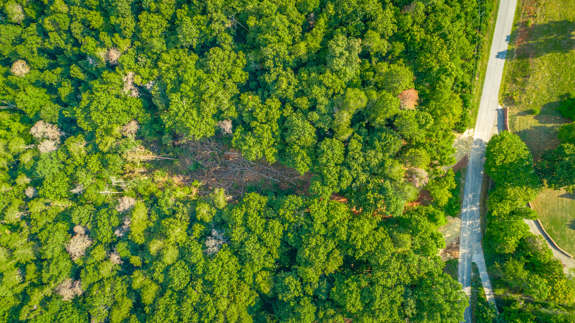 0 Clearview Drive, Lot 4