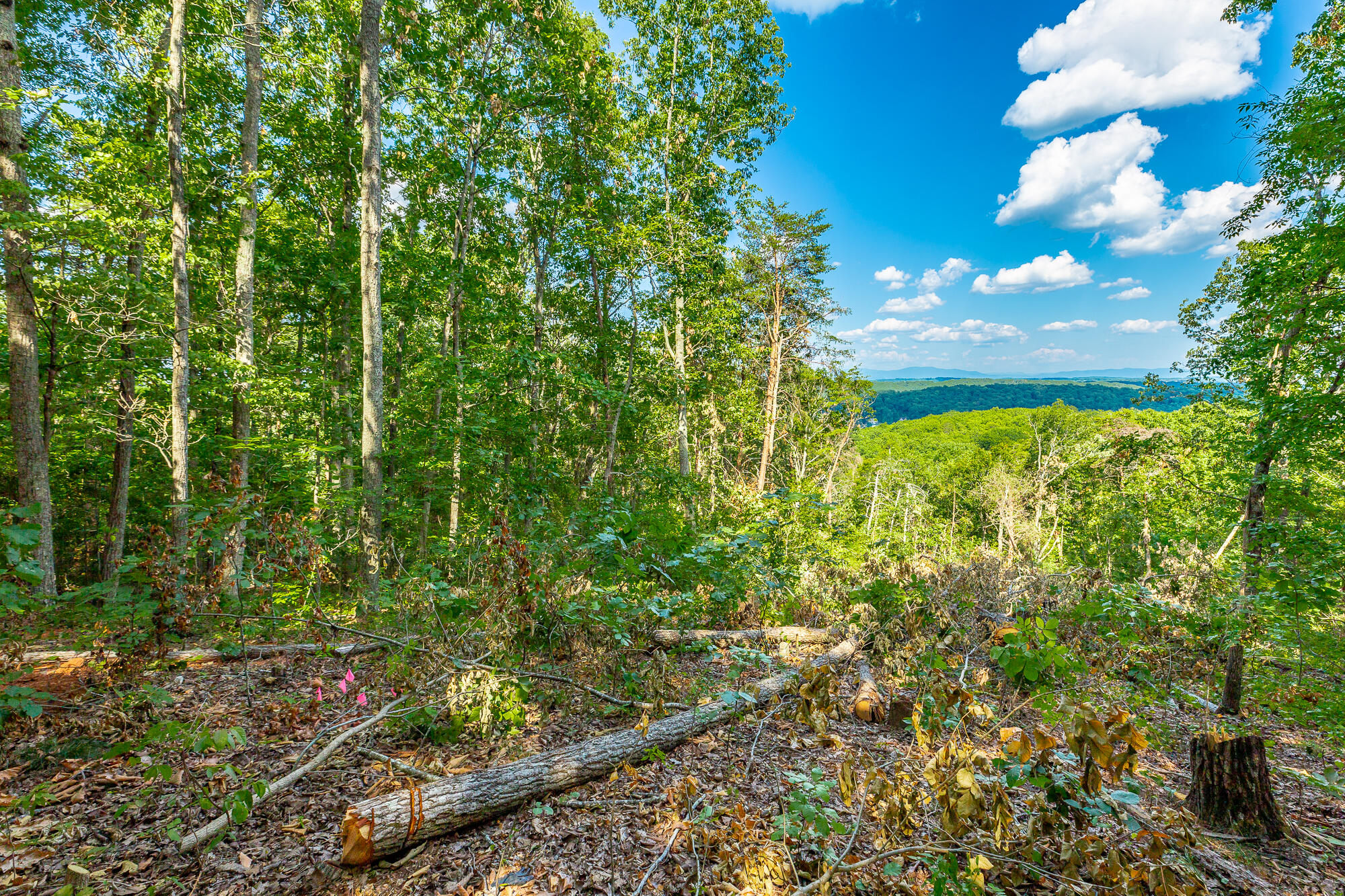 0 Clearview Drive, Lot 4