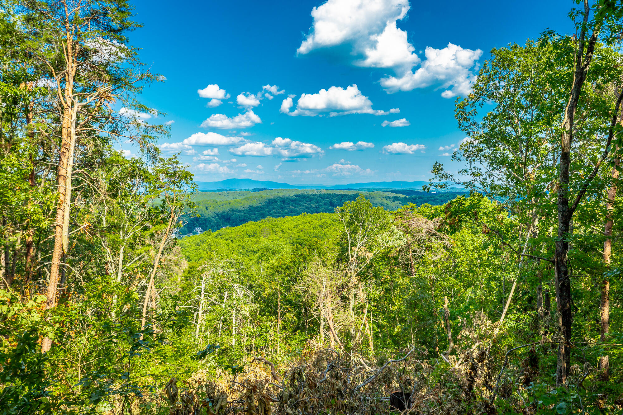 0 Clearview Drive, Lot 4