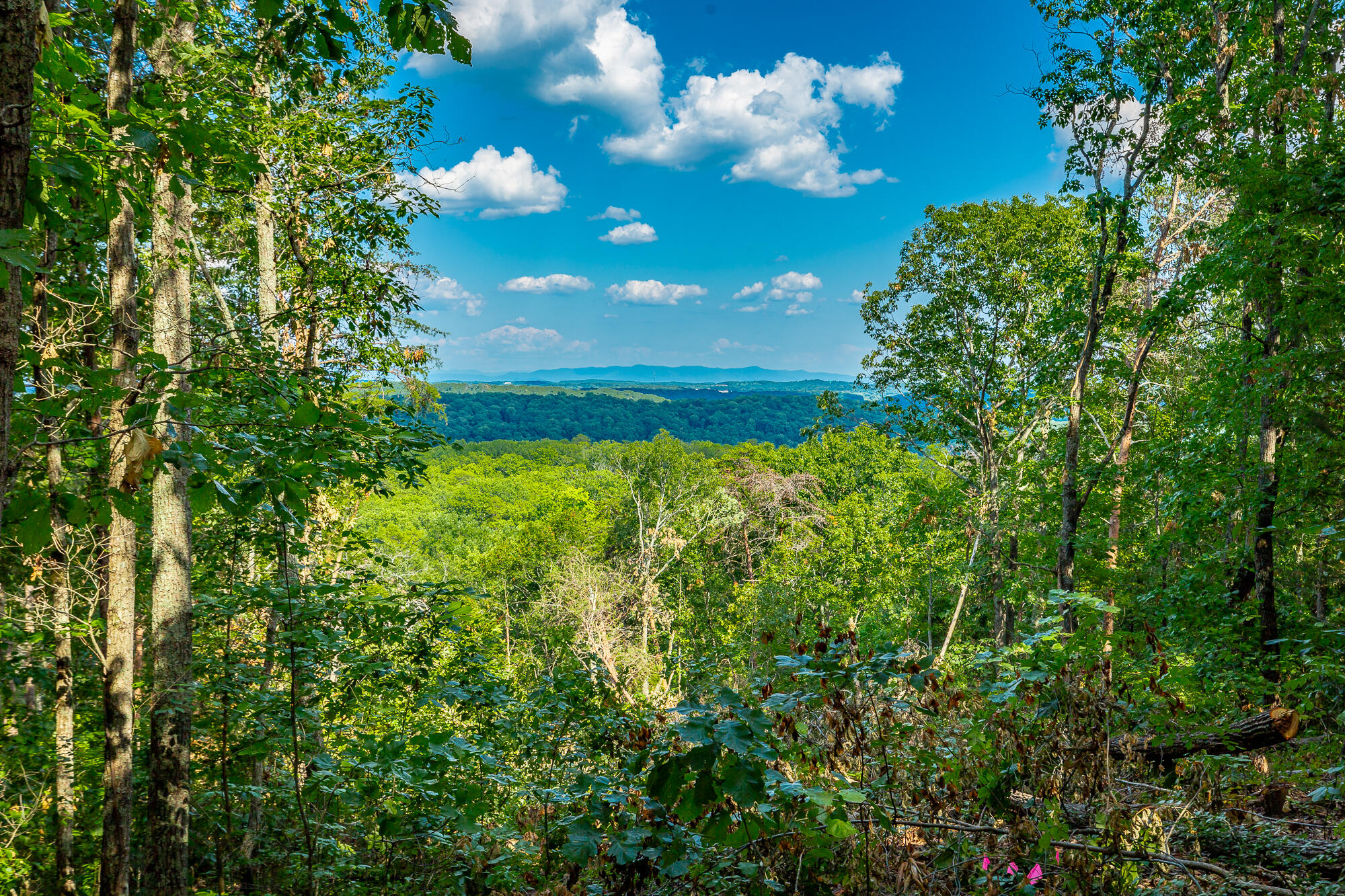 0 Clearview Drive, Lot 4