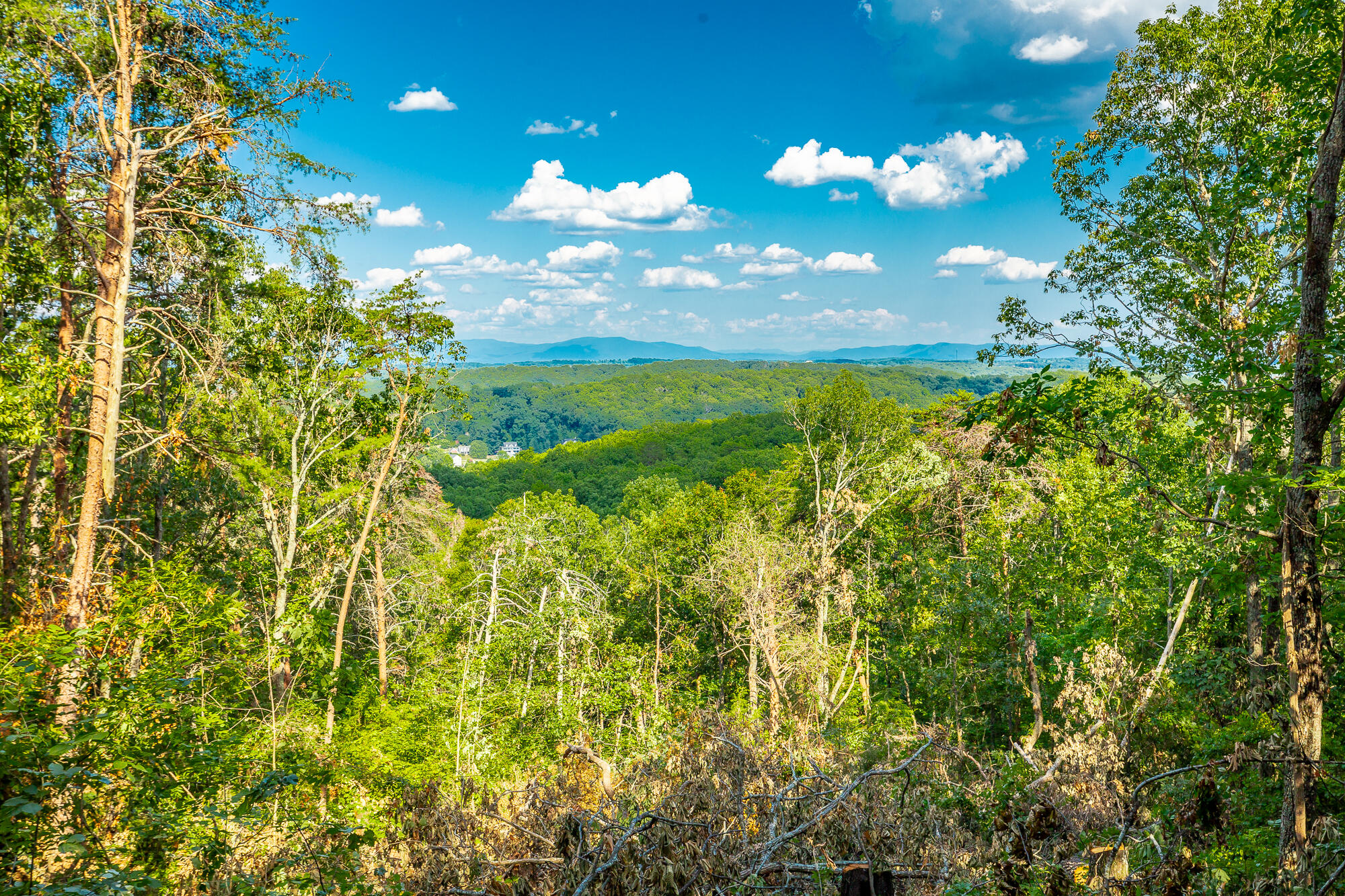 0 Clearview Drive, Lot 4