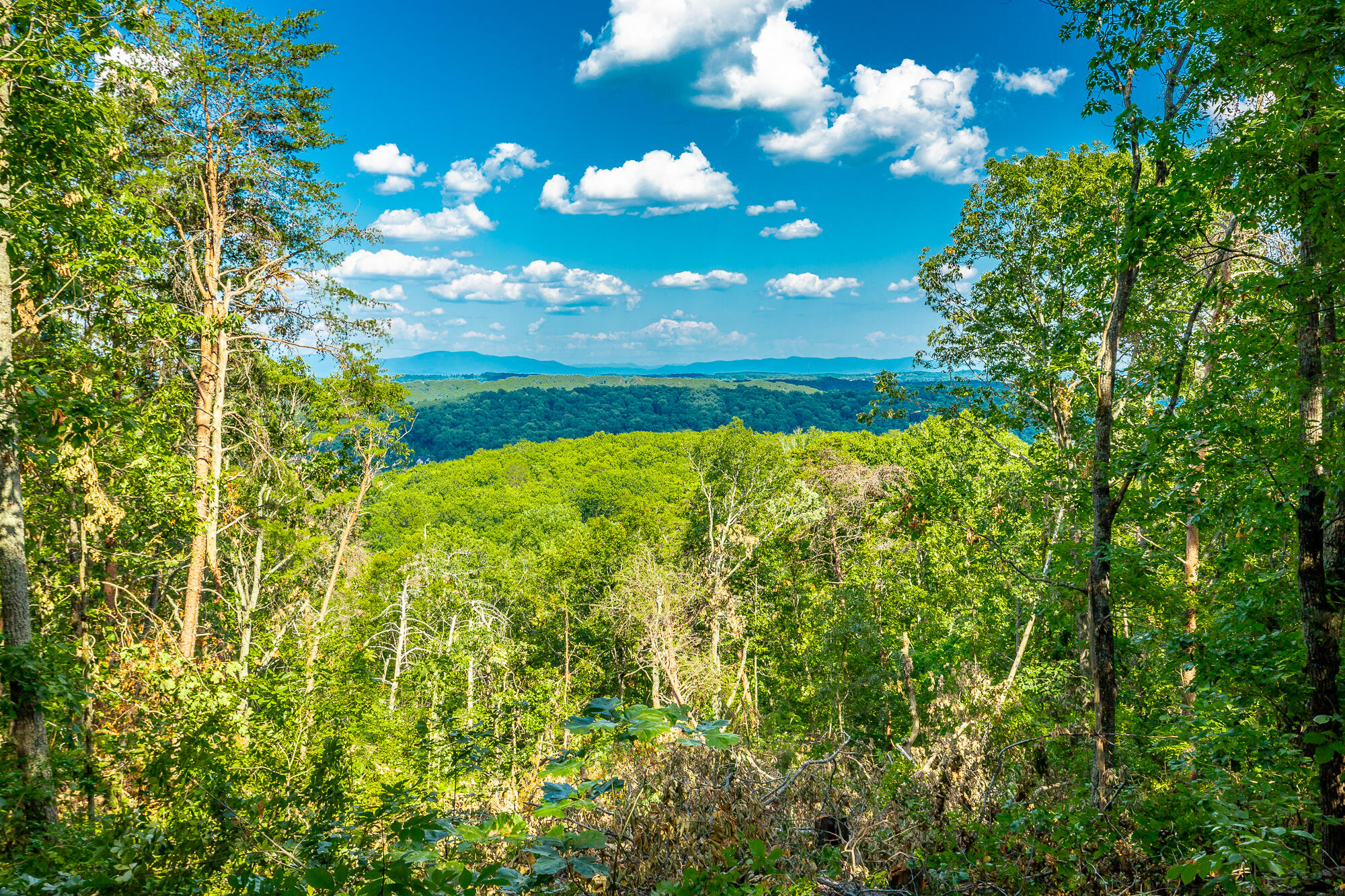 0 Clearview Drive, Lot 4