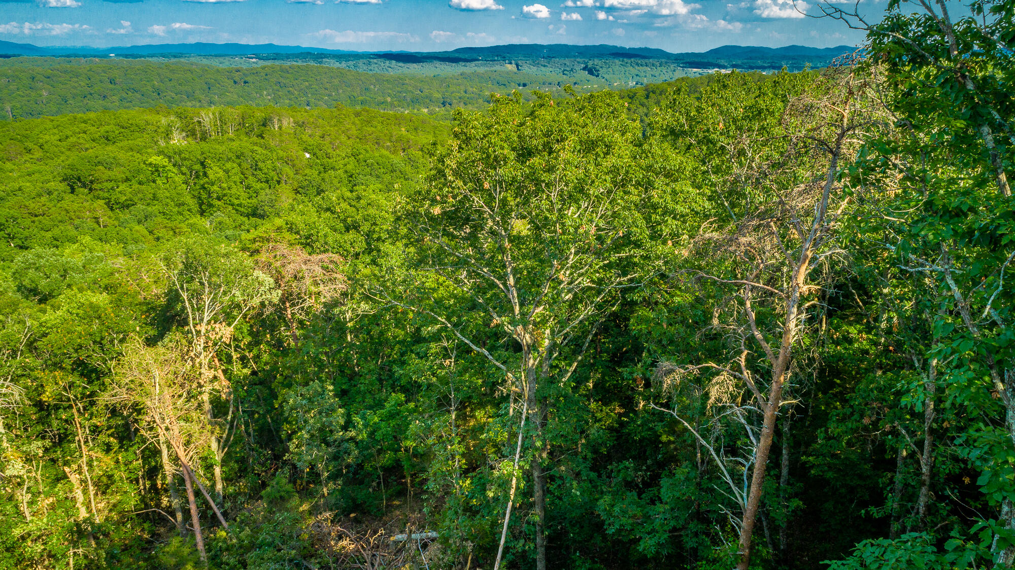 0 Clearview Drive, Lot 4