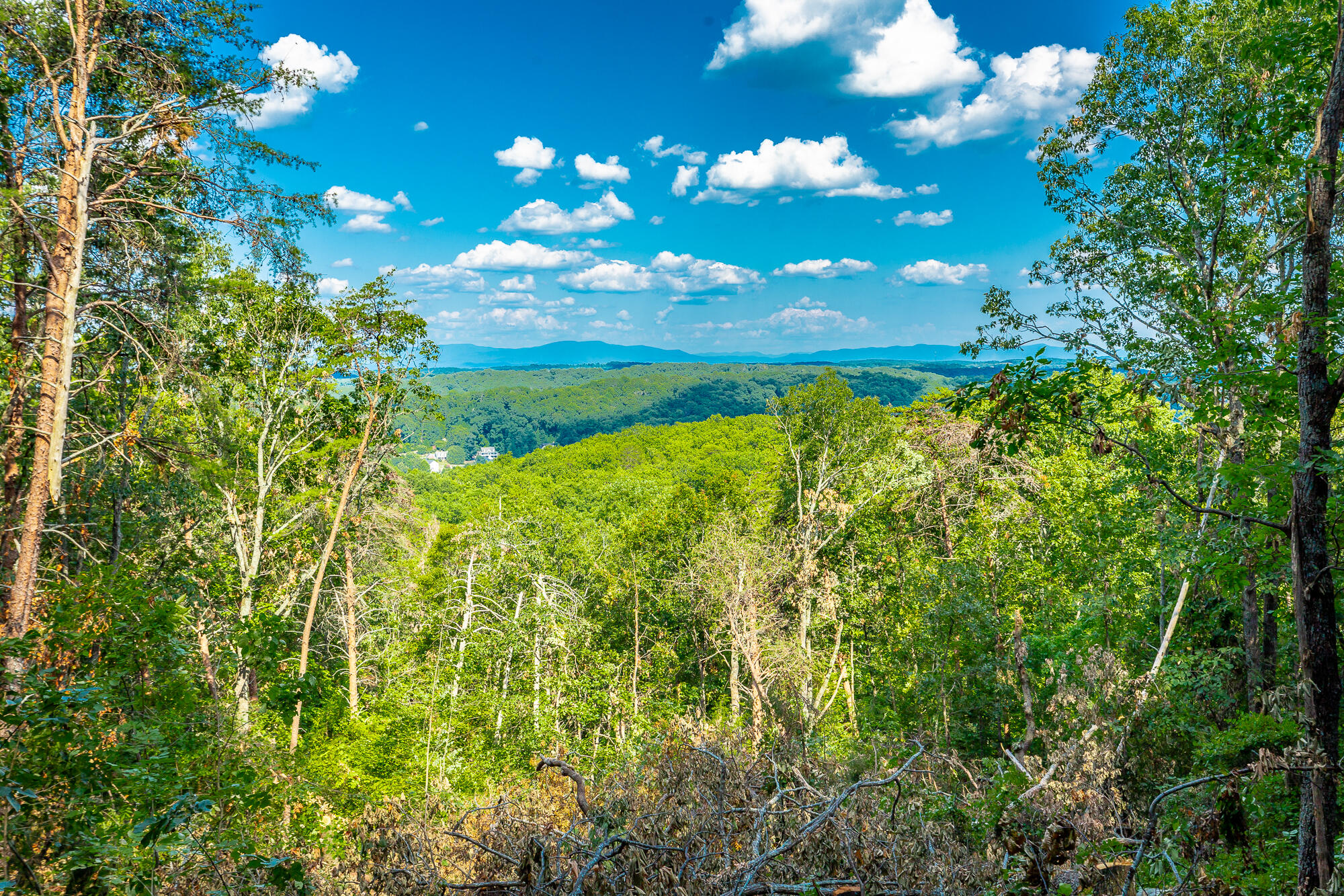 0 Clearview Drive, Lot 4