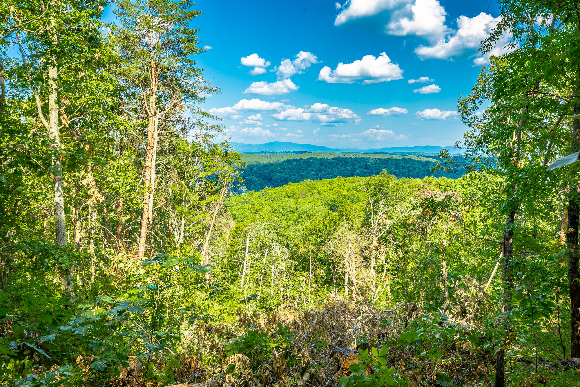 0 Clearview Drive, Lot 4