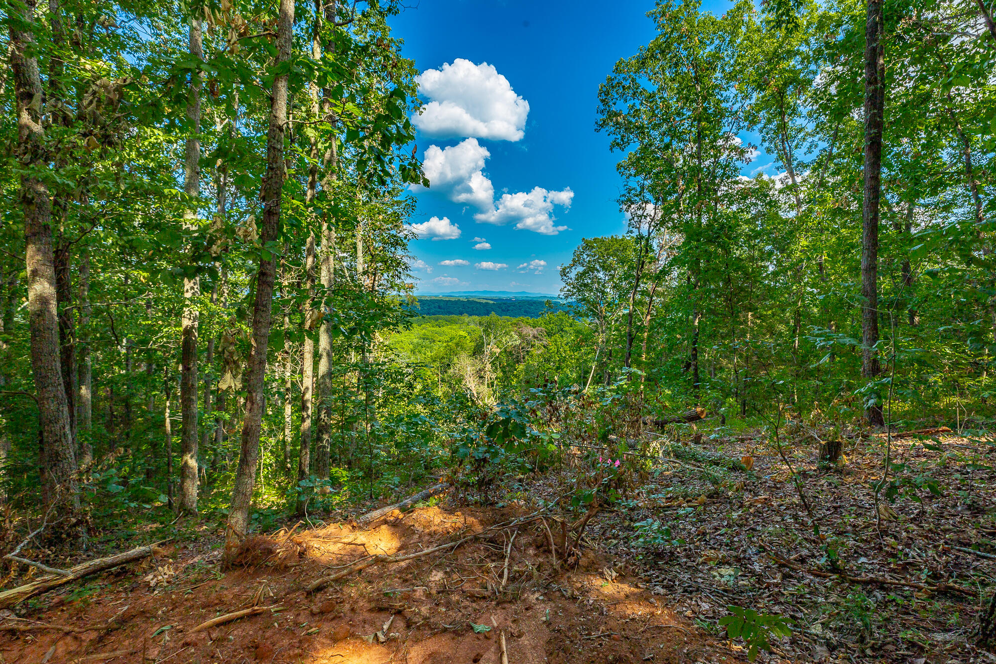 0 Clearview Drive, Lot 4