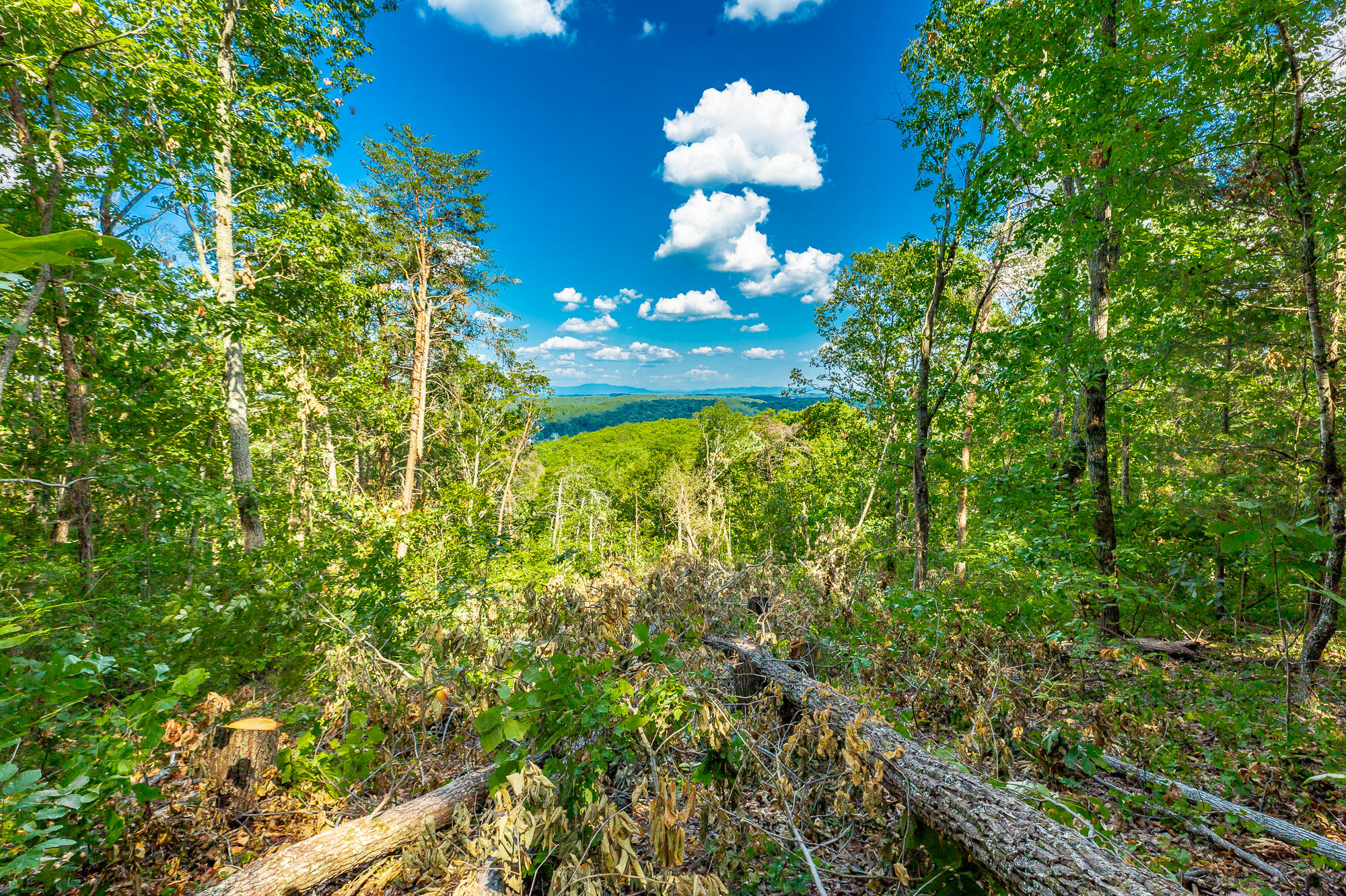 0 Clearview Drive, Lot 4