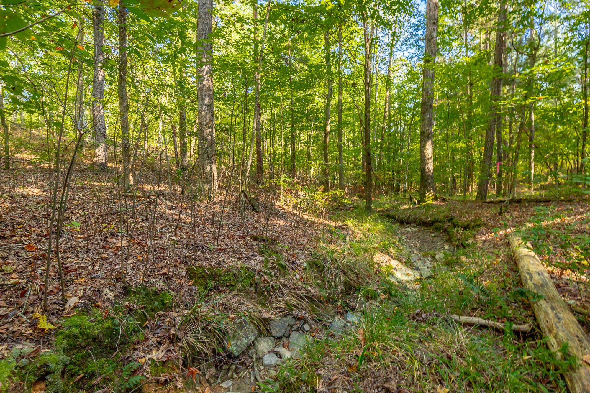 000 Houston Valley Road