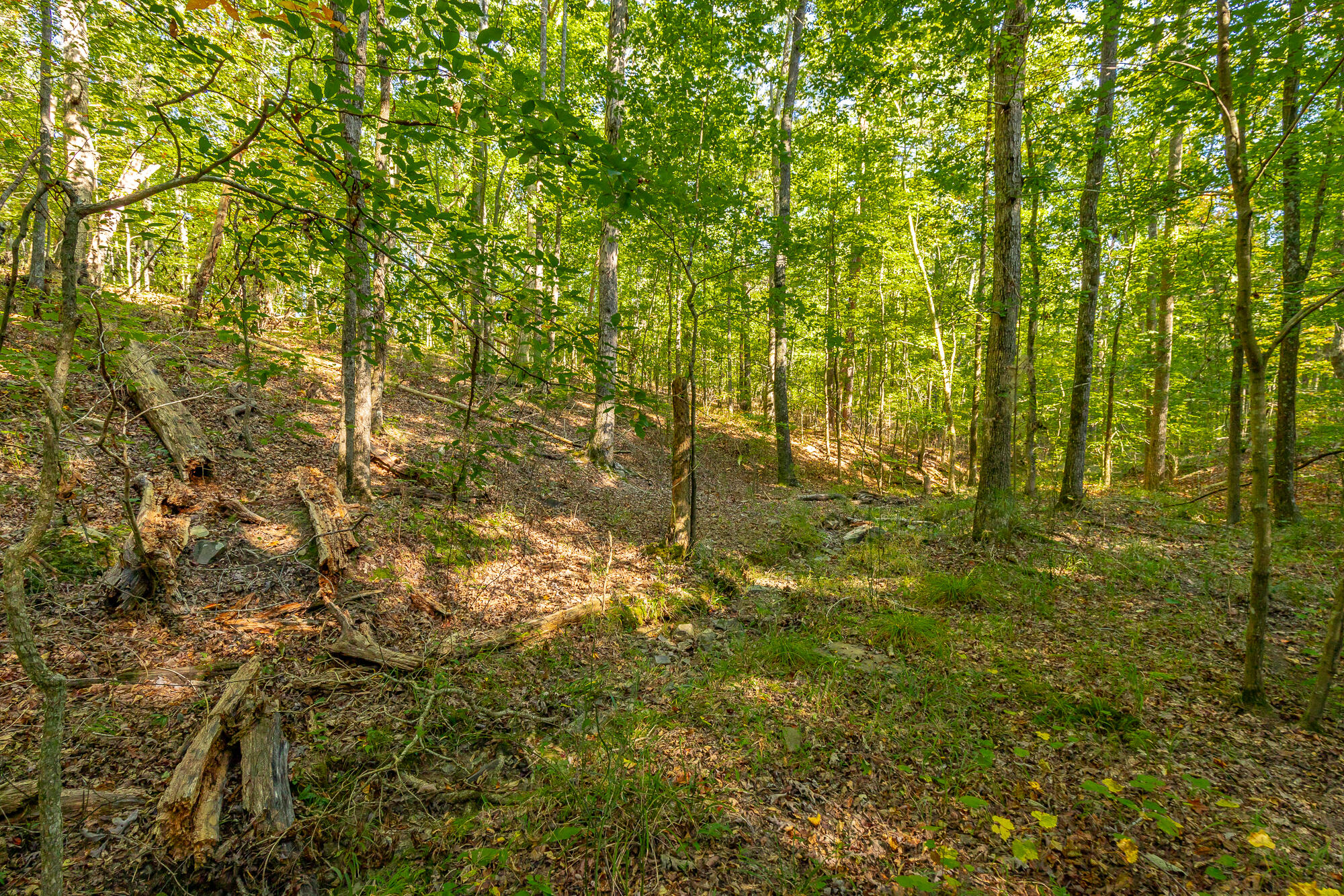 000 Houston Valley Road