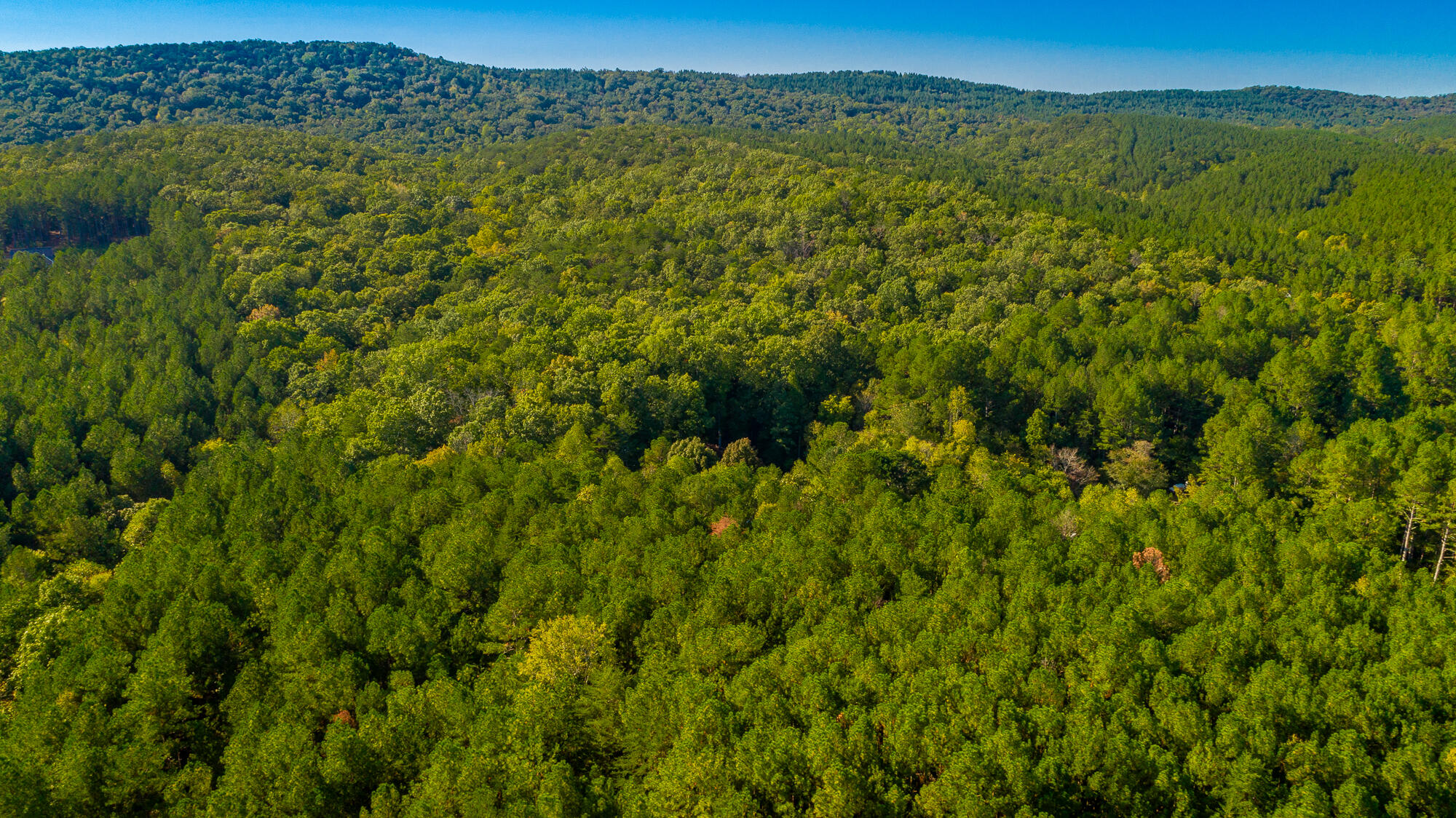 000 Houston Valley Road