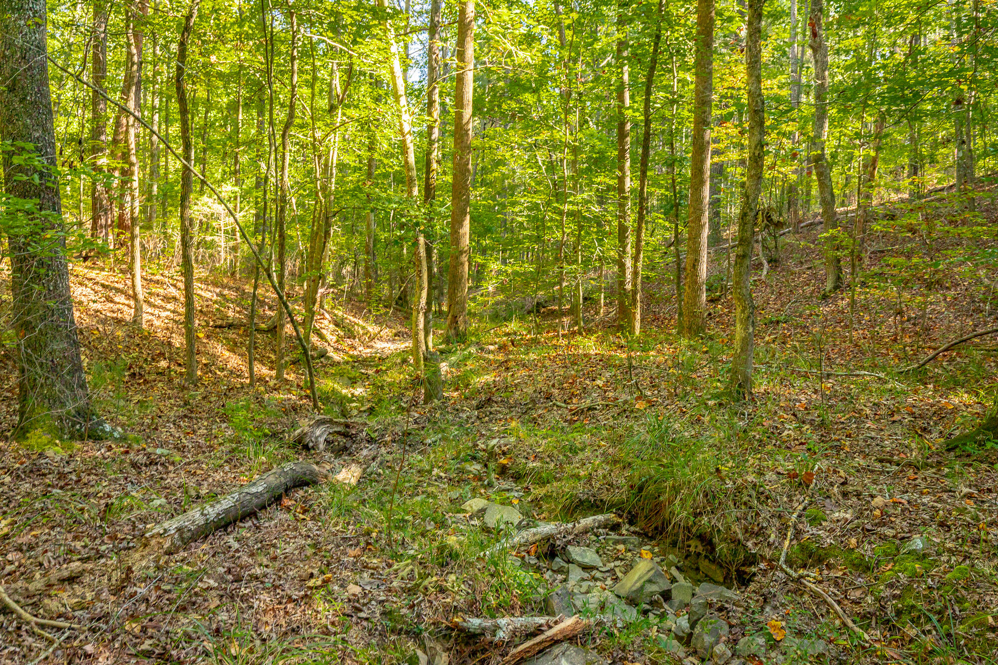000 Houston Valley Road