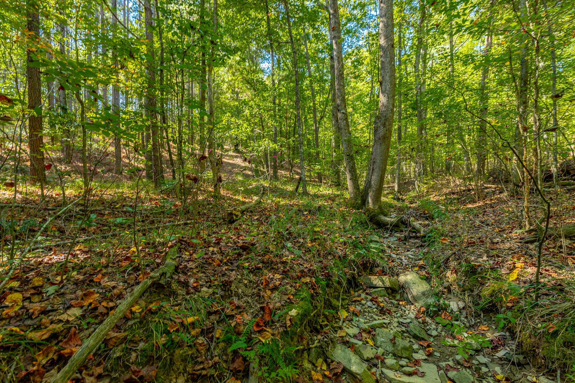 000 Houston Valley Road