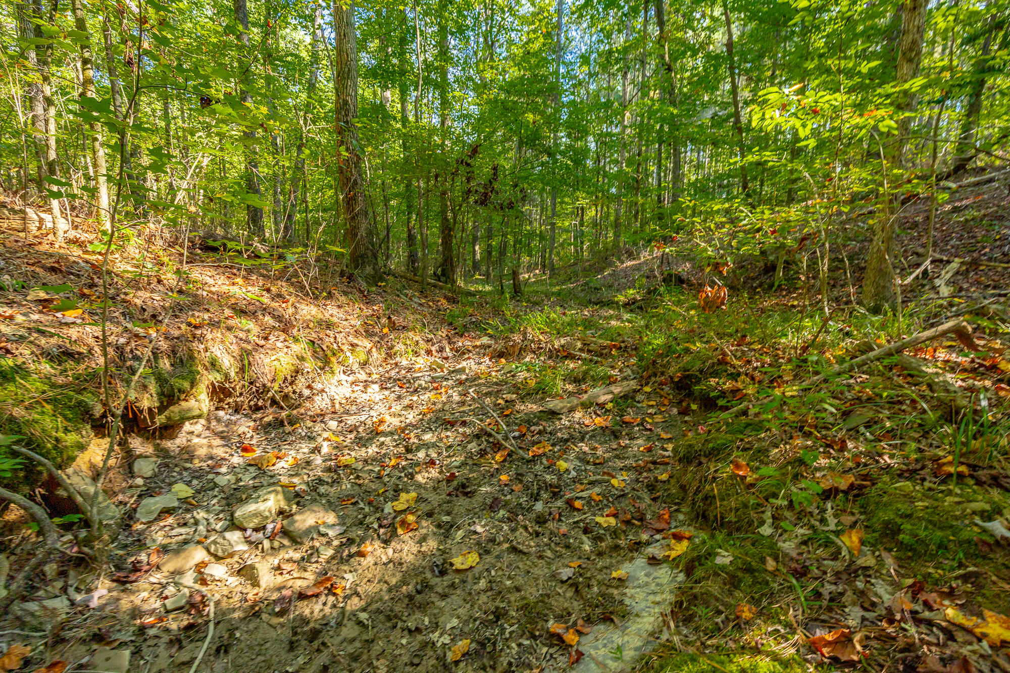 000 Houston Valley Road