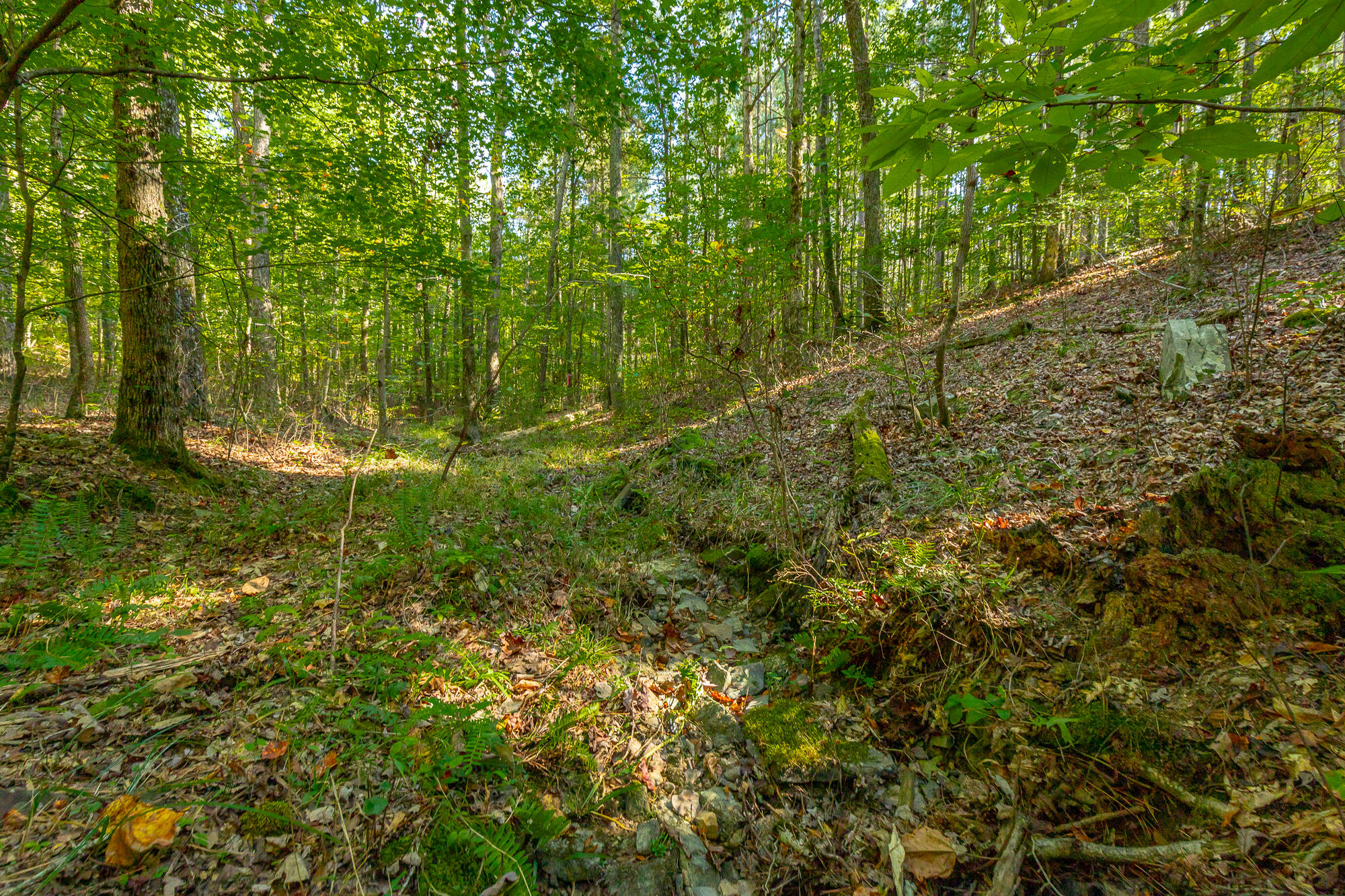 000 Houston Valley Road