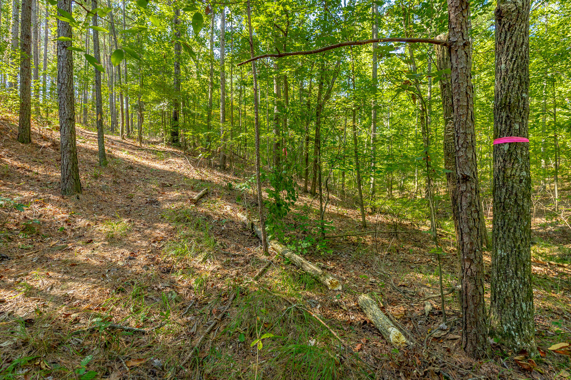 000 Houston Valley Road