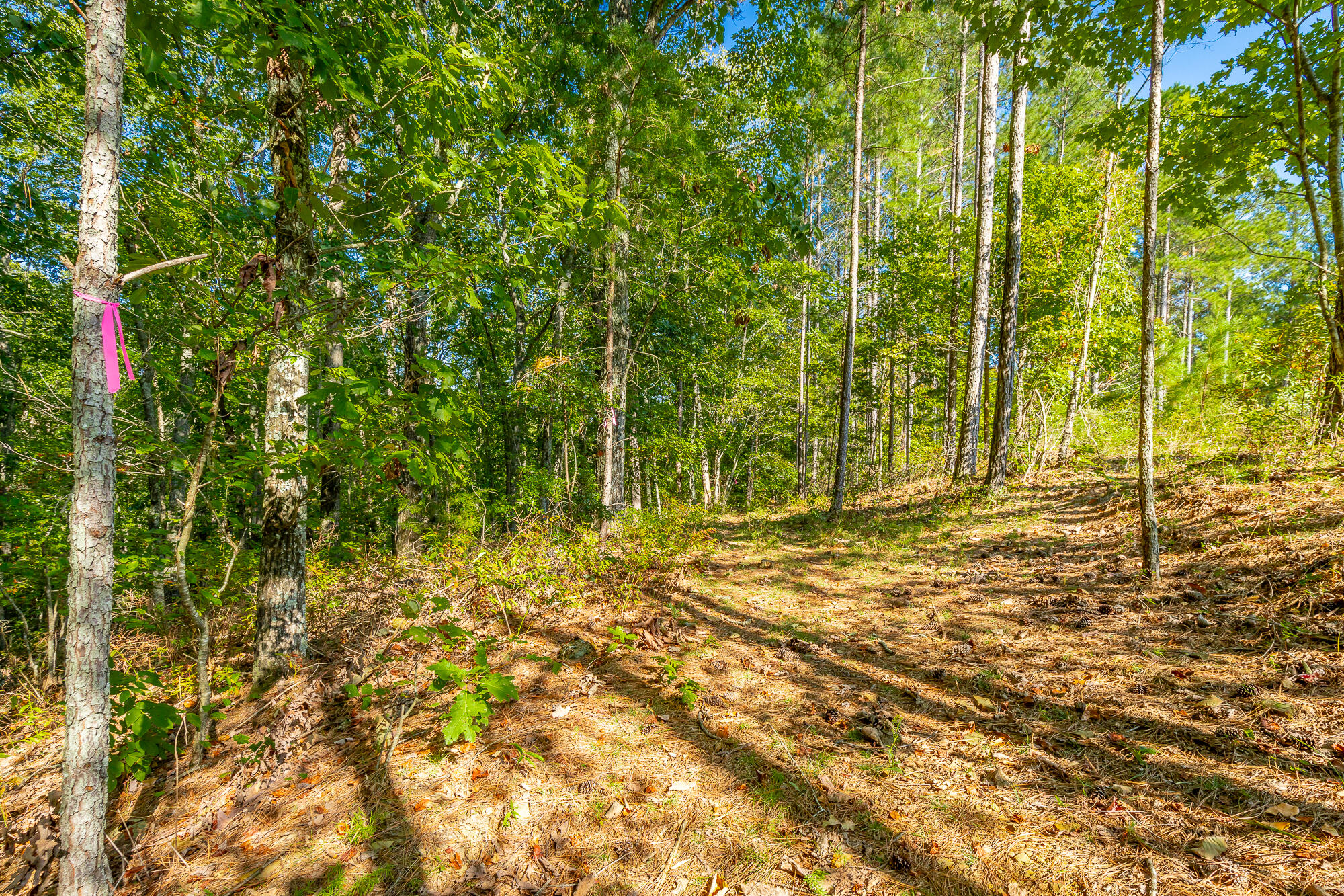 000 Houston Valley Road