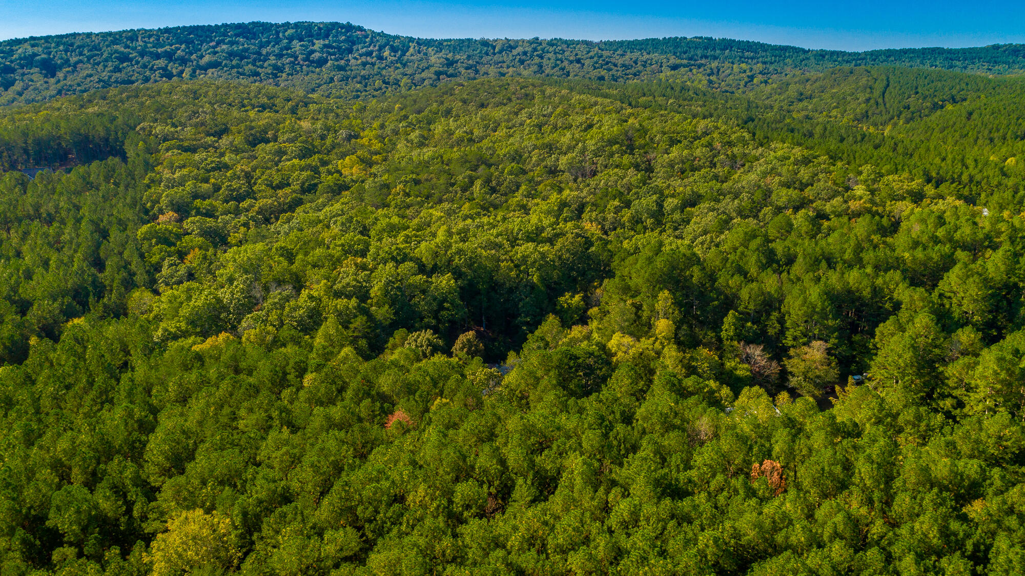 000 Houston Valley Road