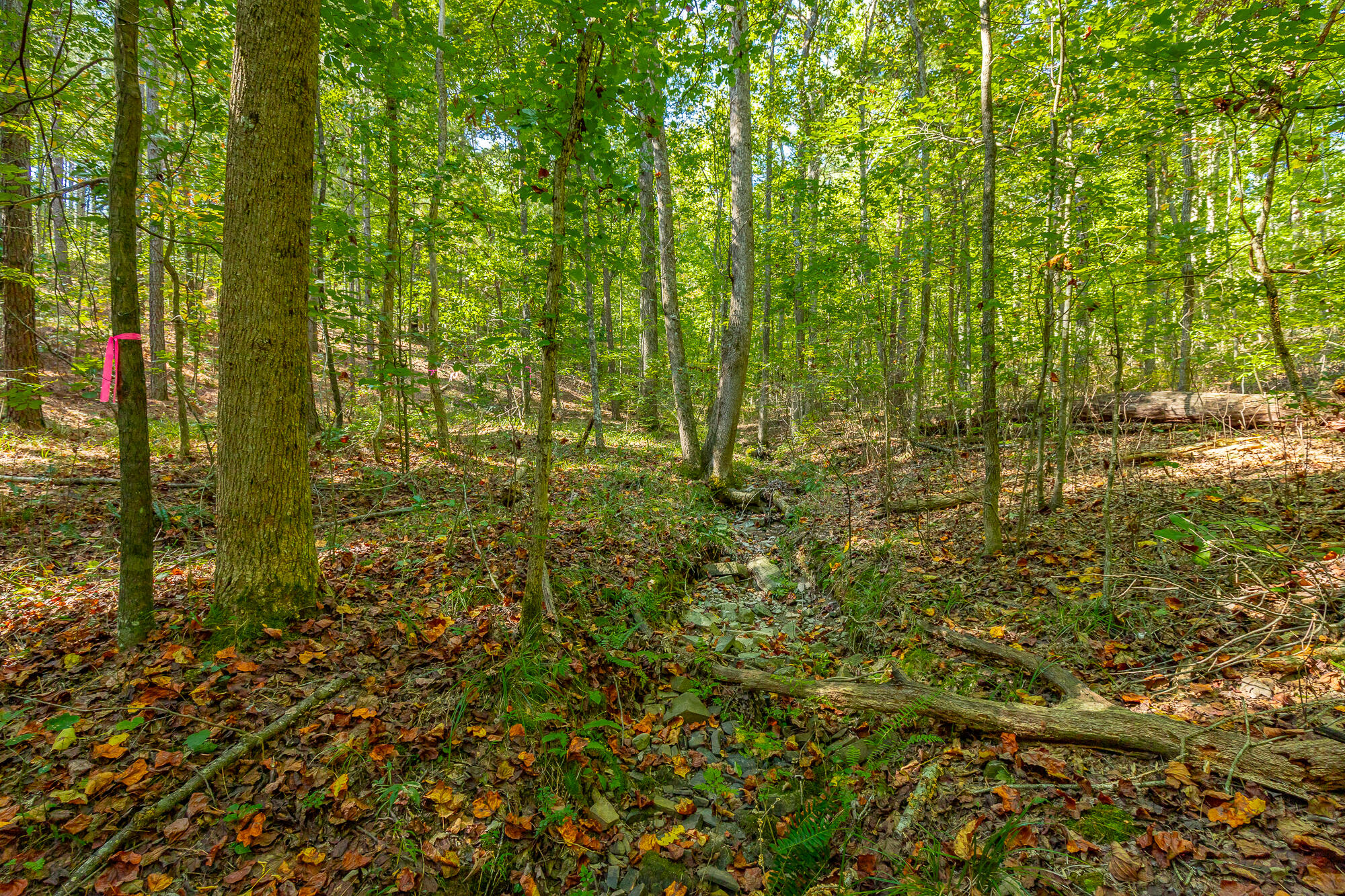 000 Houston Valley Road