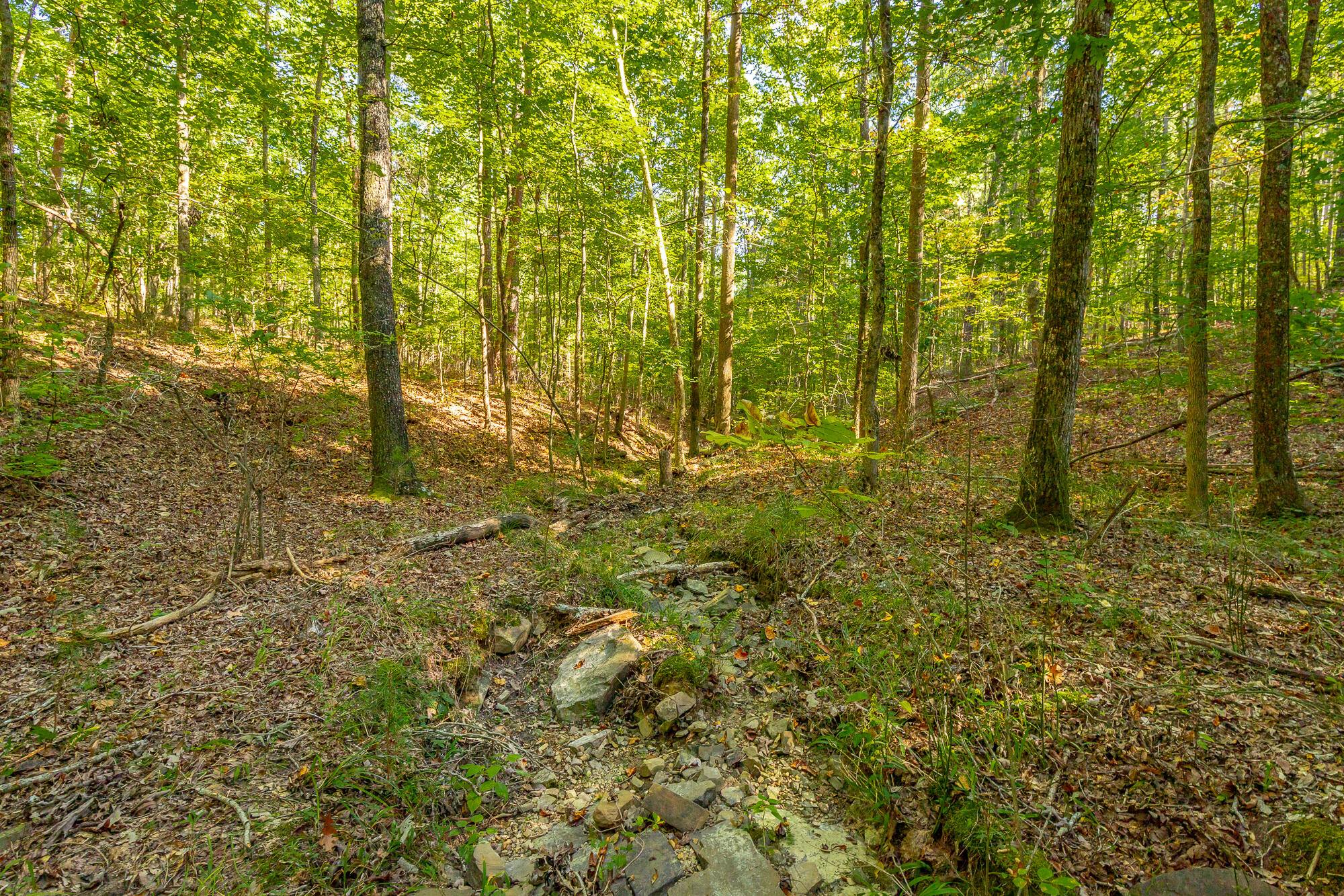 000 Houston Valley Road