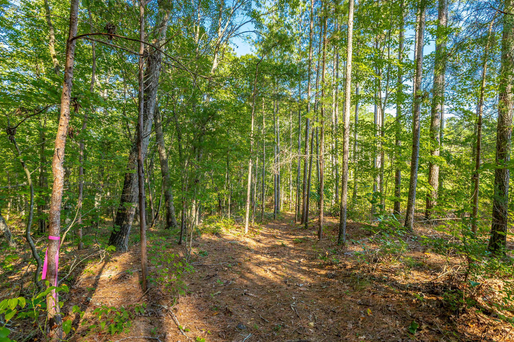 000 Houston Valley Road