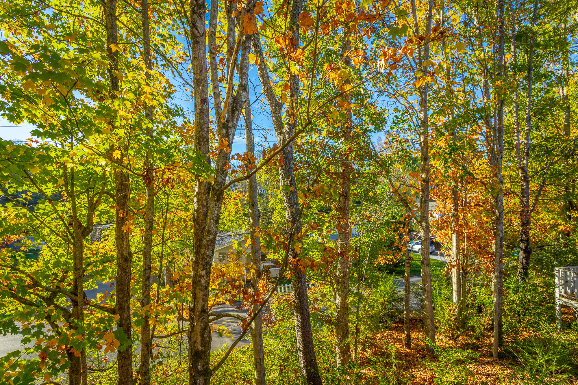 326 W Midvale Avenue, 18