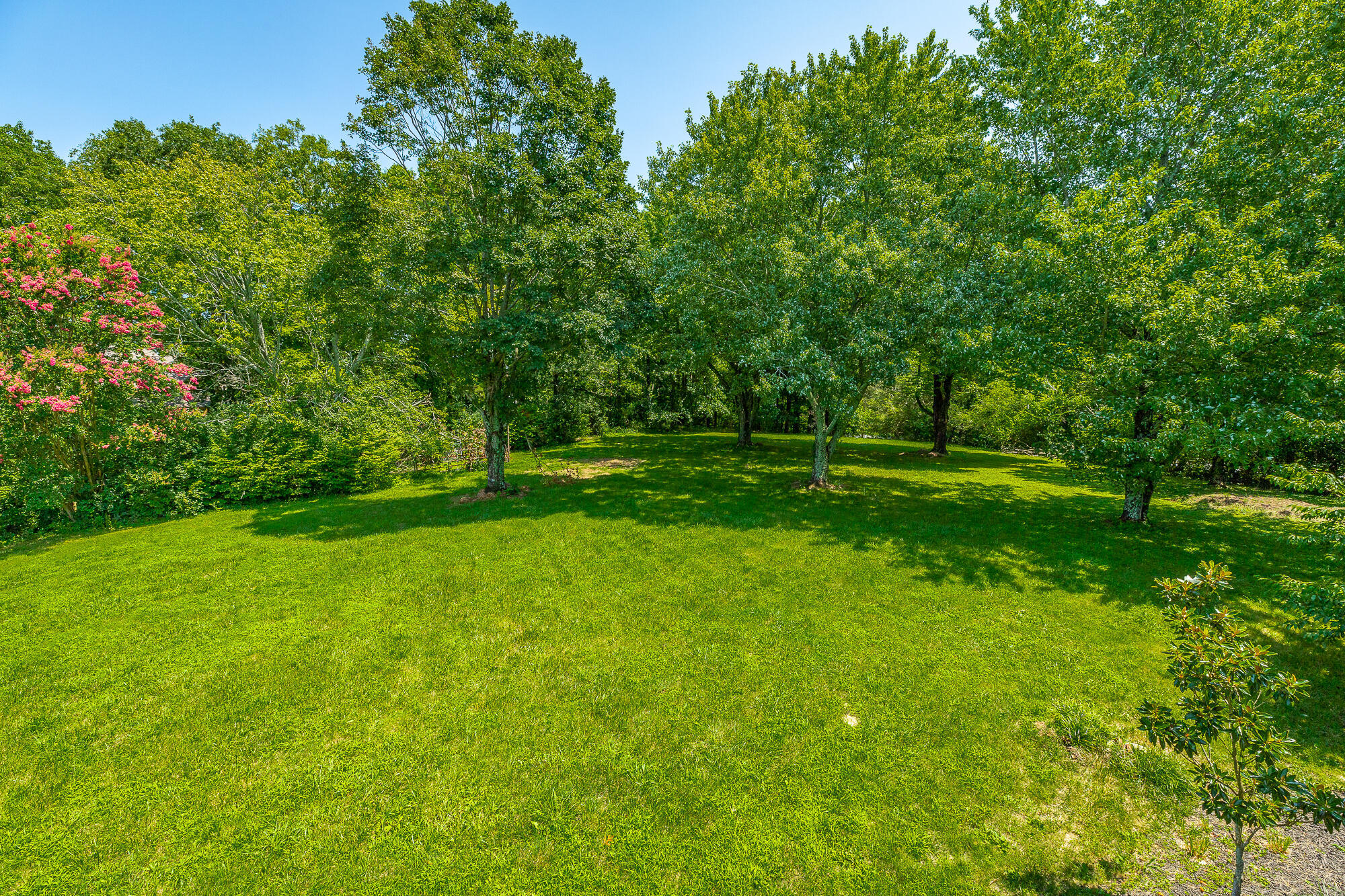 12025 Scenic Highway