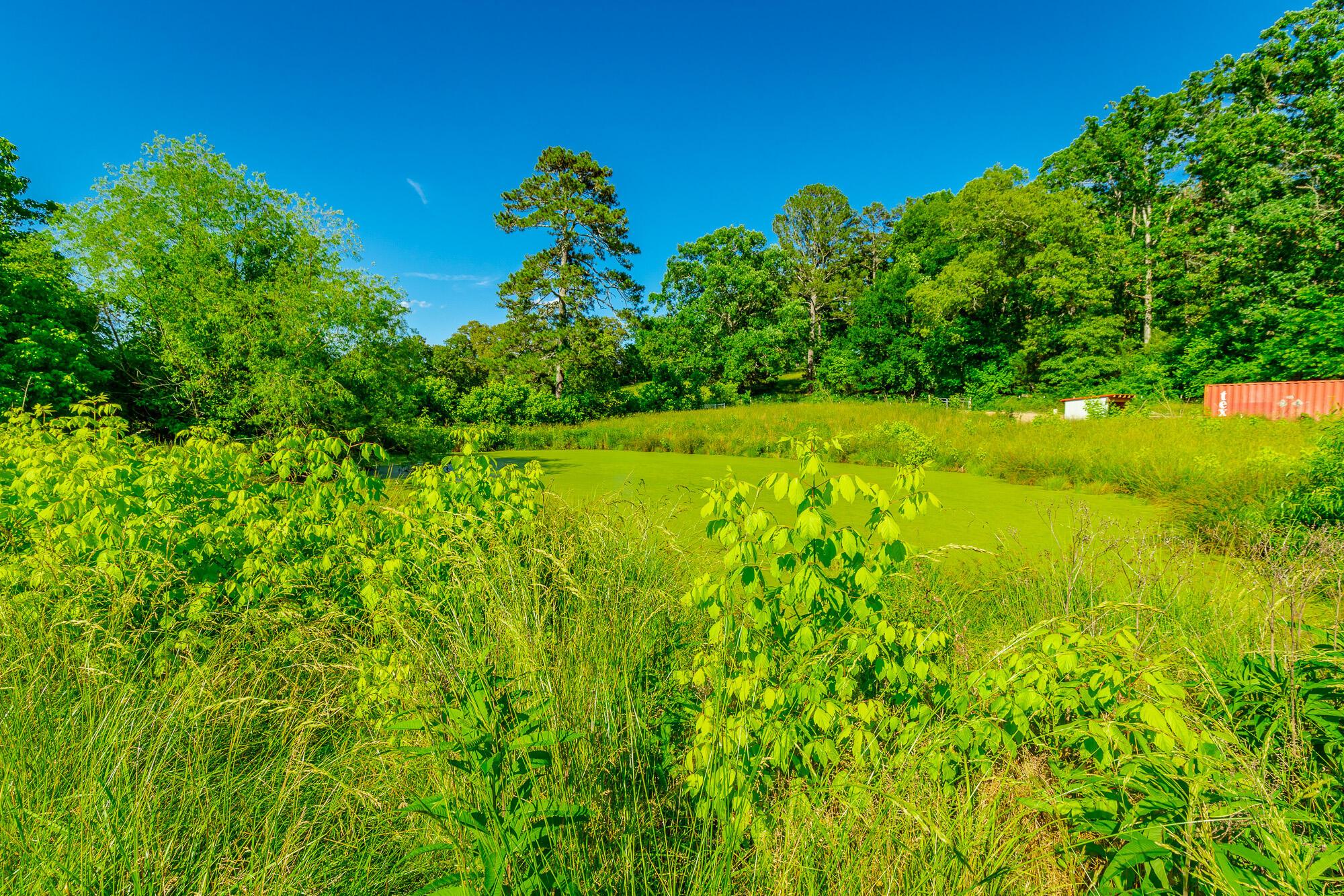 4533 Long Hollow Road