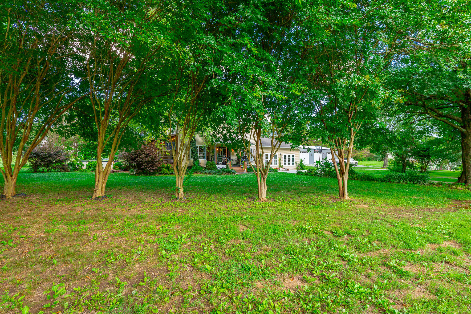 1727 Saunders Road