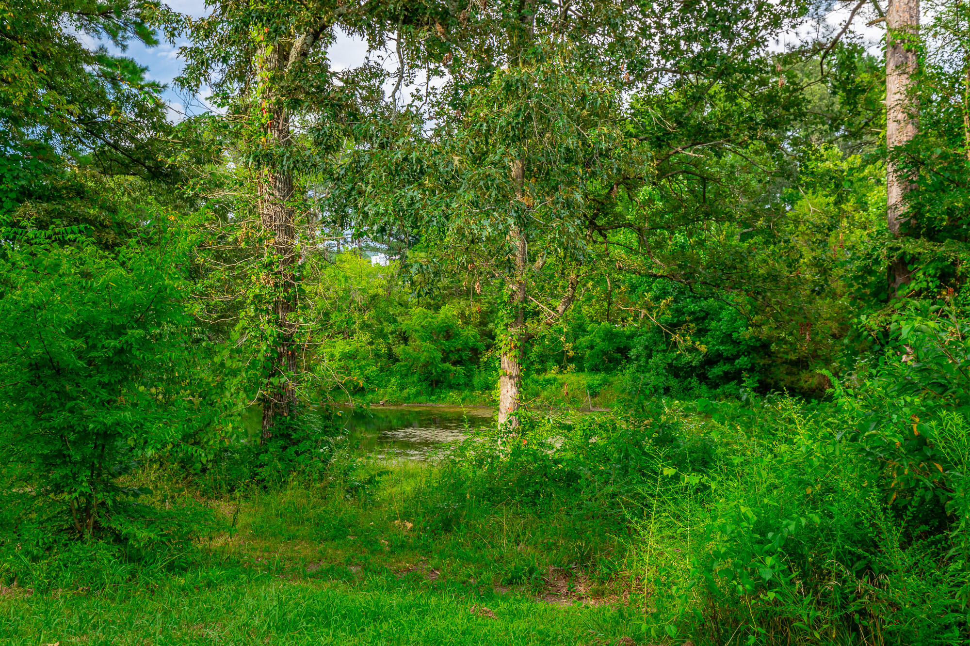 141 Old Mill Lane
