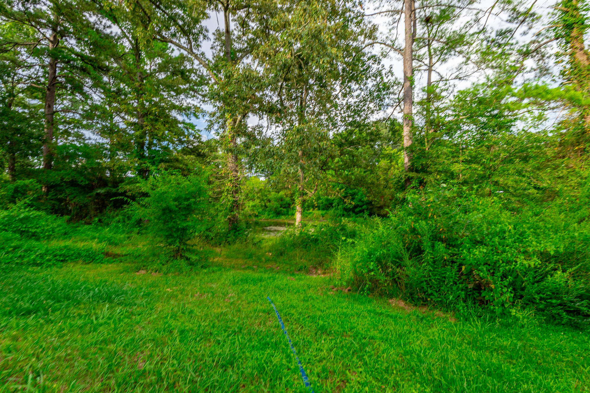 141 Old Mill Lane