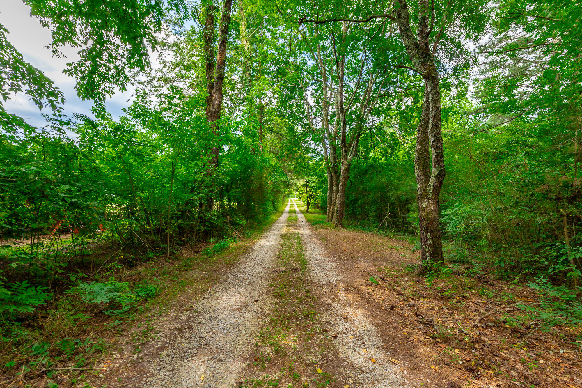 747 Vittetoe Road