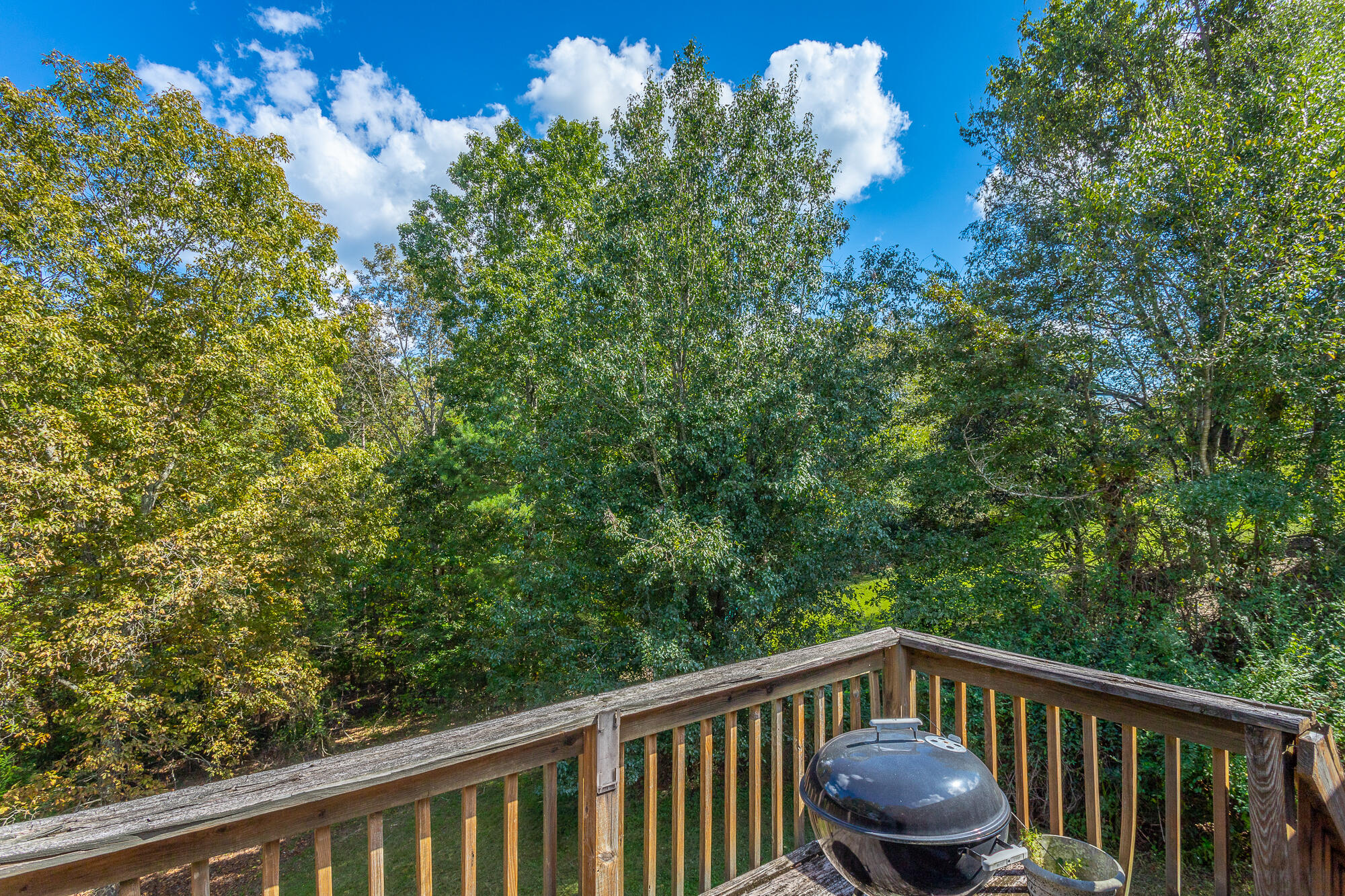 154 Shady Brook Lane