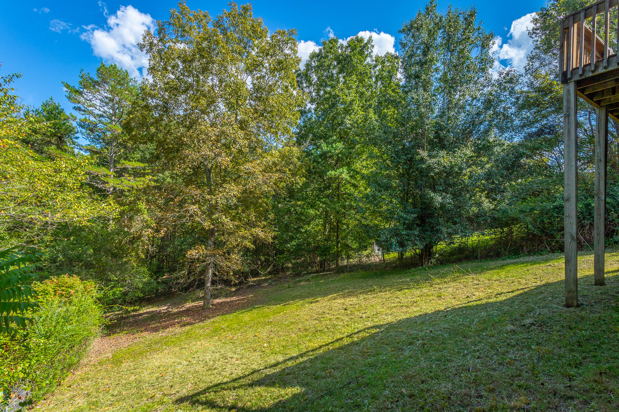 154 Shady Brook Lane