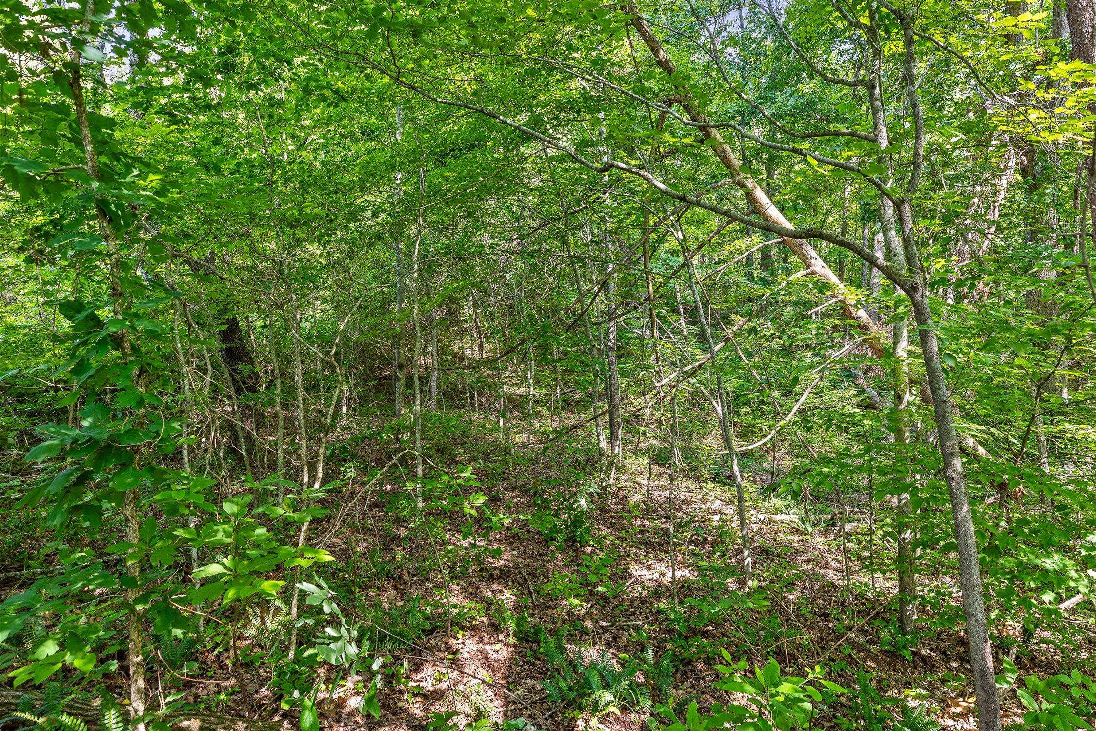 4300 Pocket Road