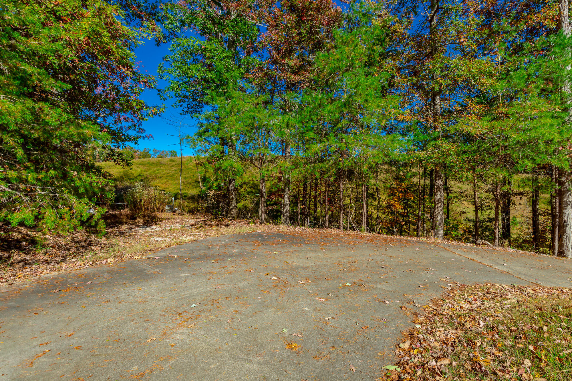 9739 Timberview Trail, Ooltewah