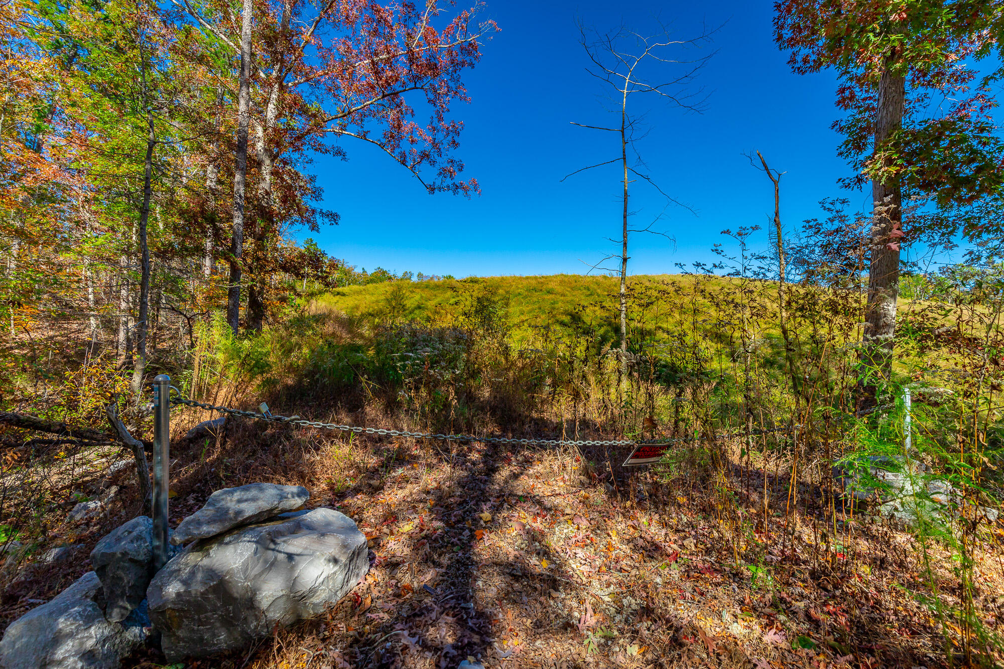 9739 Timberview Trail, Ooltewah