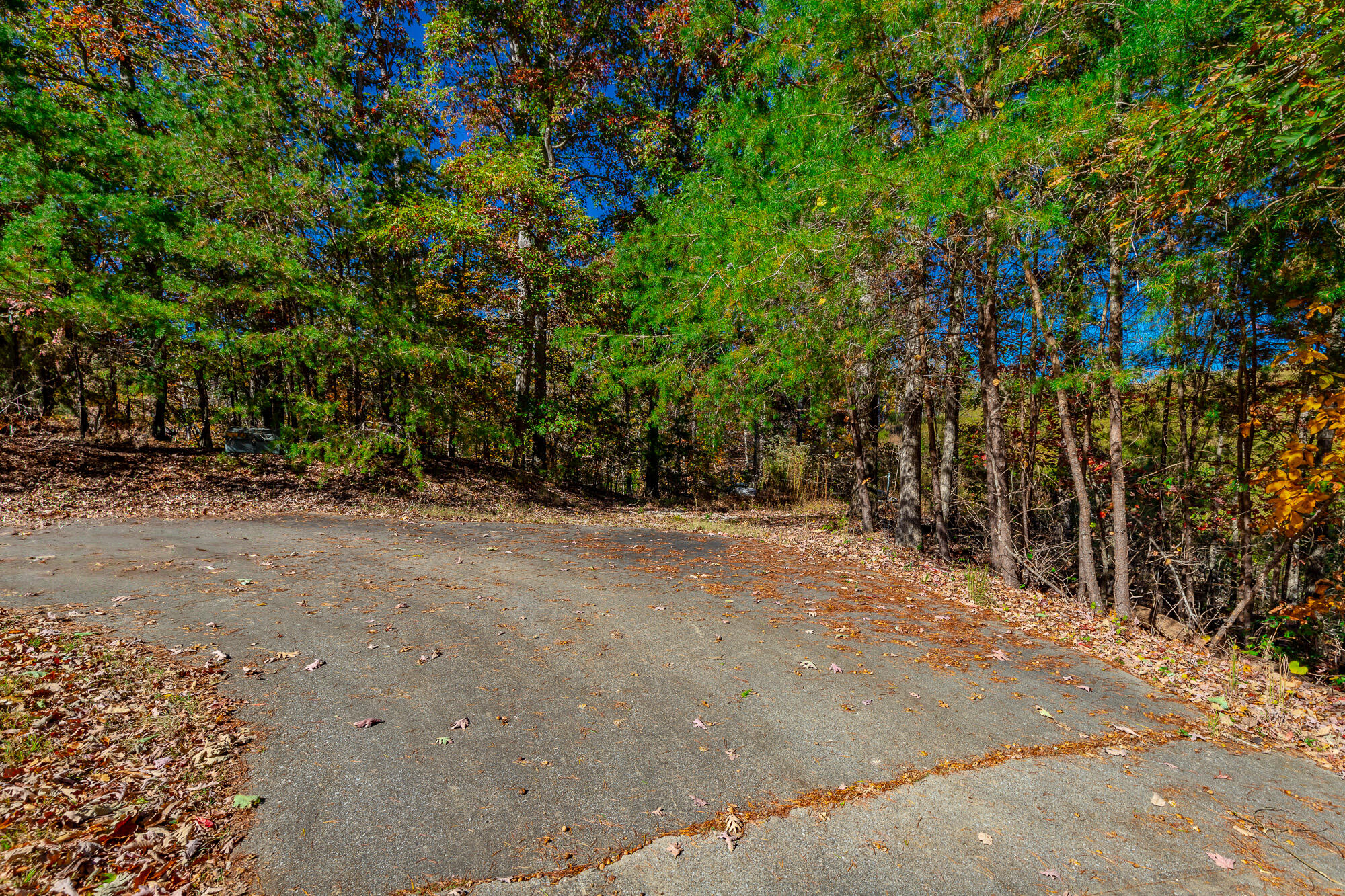 9745 Timberview Trail, Ooltewah