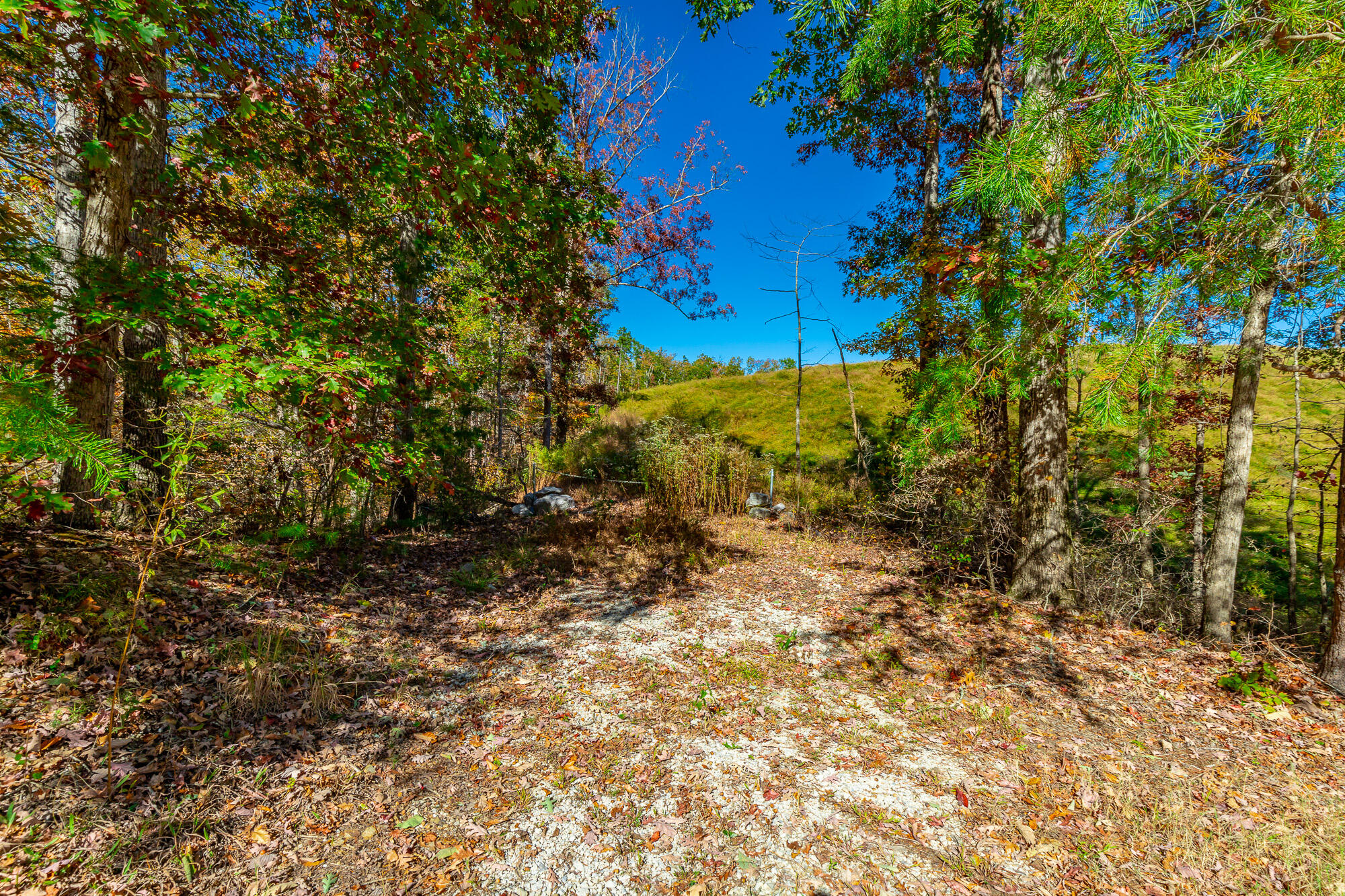 9745 Timberview Trail, Ooltewah