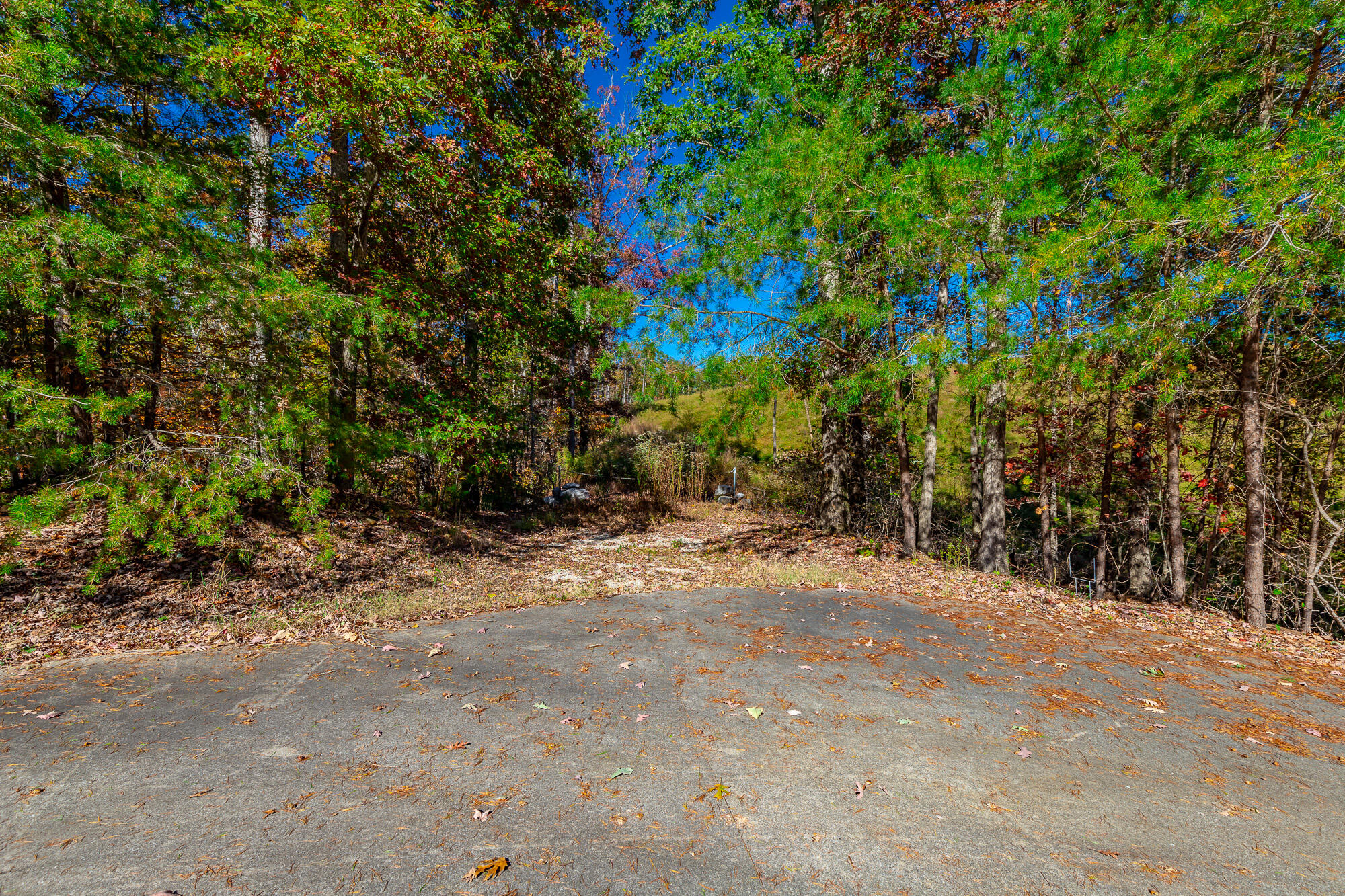 9745 Timberview Trail, Ooltewah