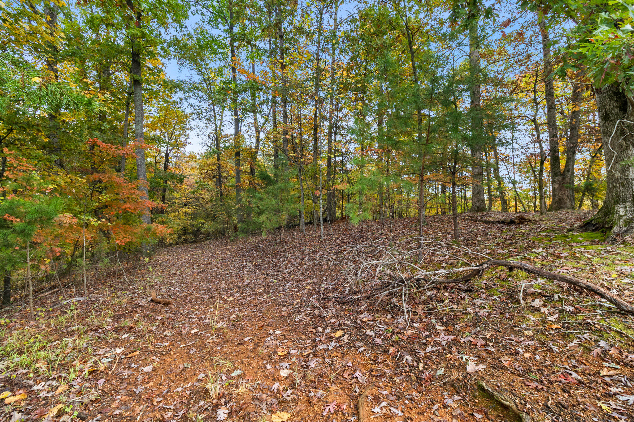 549 Old Bacon Road NE