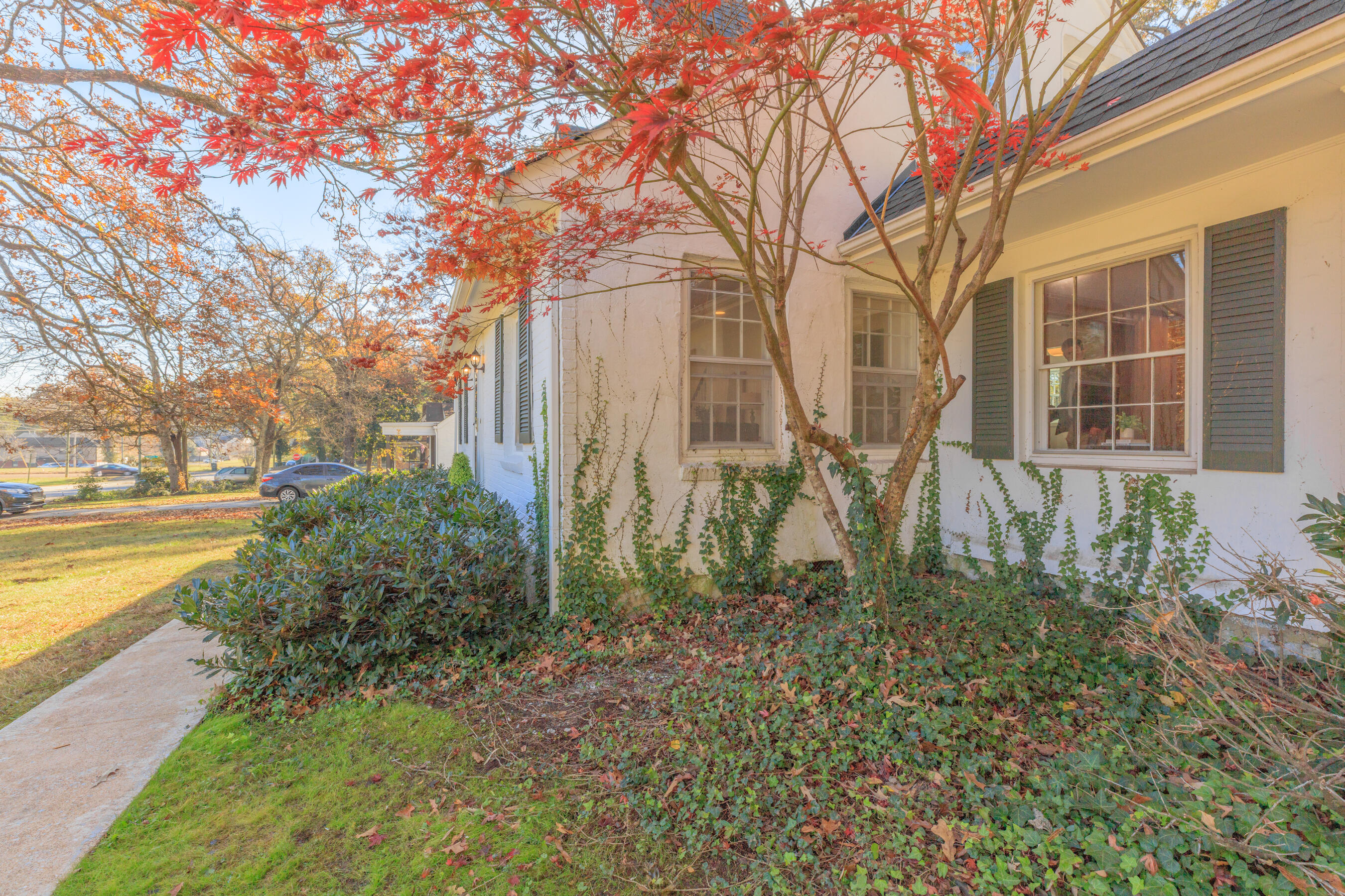 3506 Audubon Drive