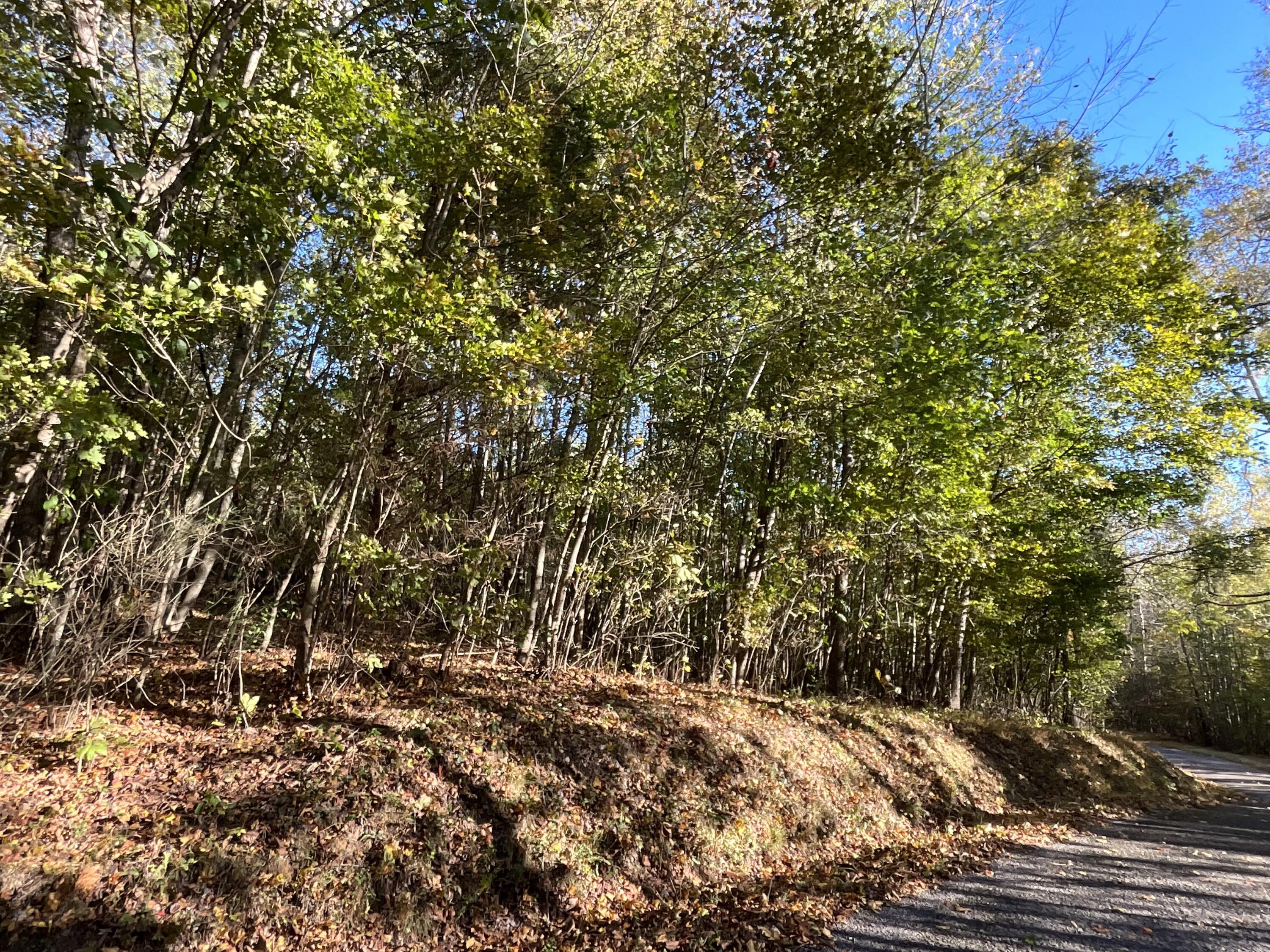 0 Ponder Creek Road, LaFayette