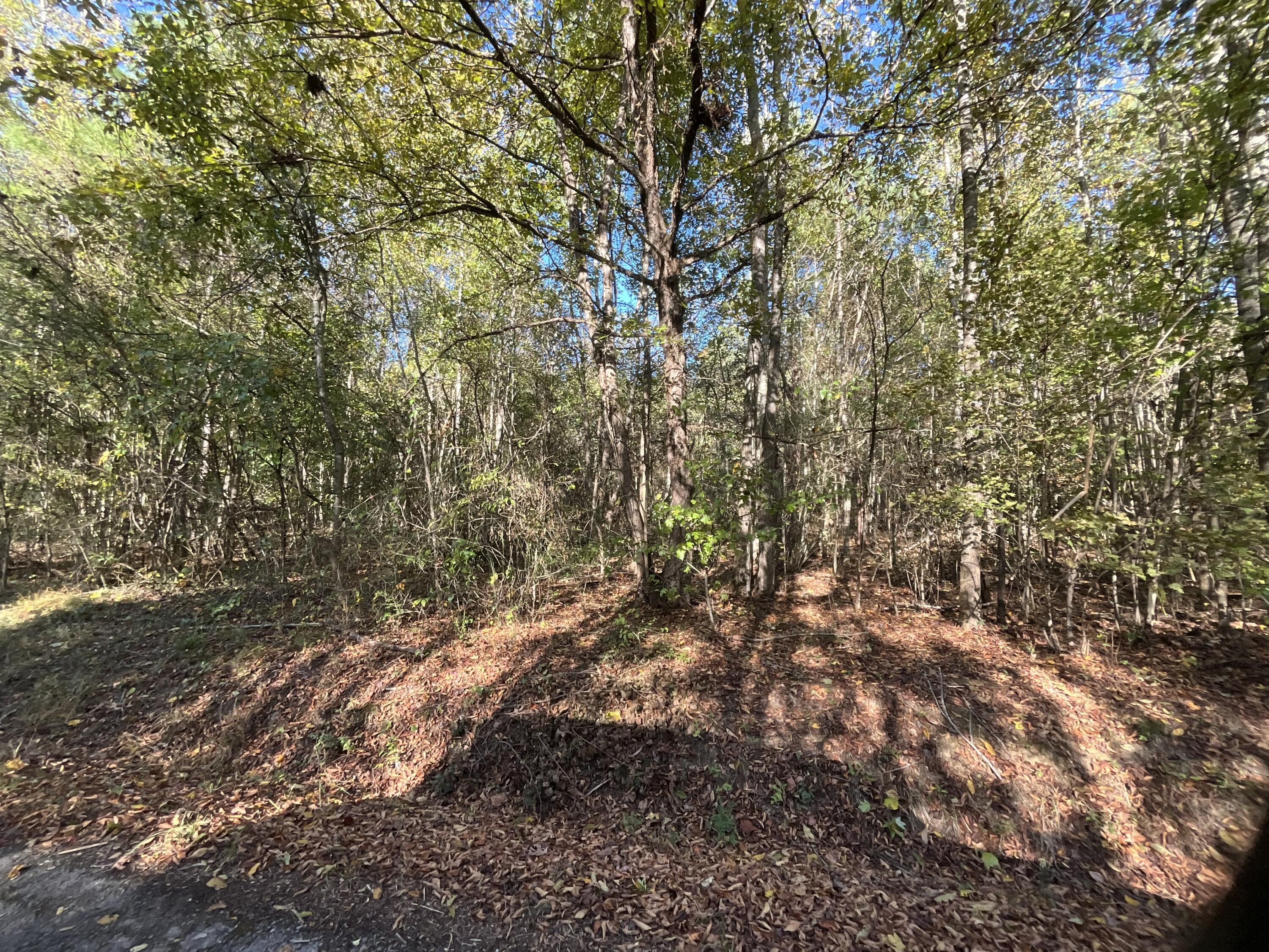 0 Ponder Creek Road, LaFayette
