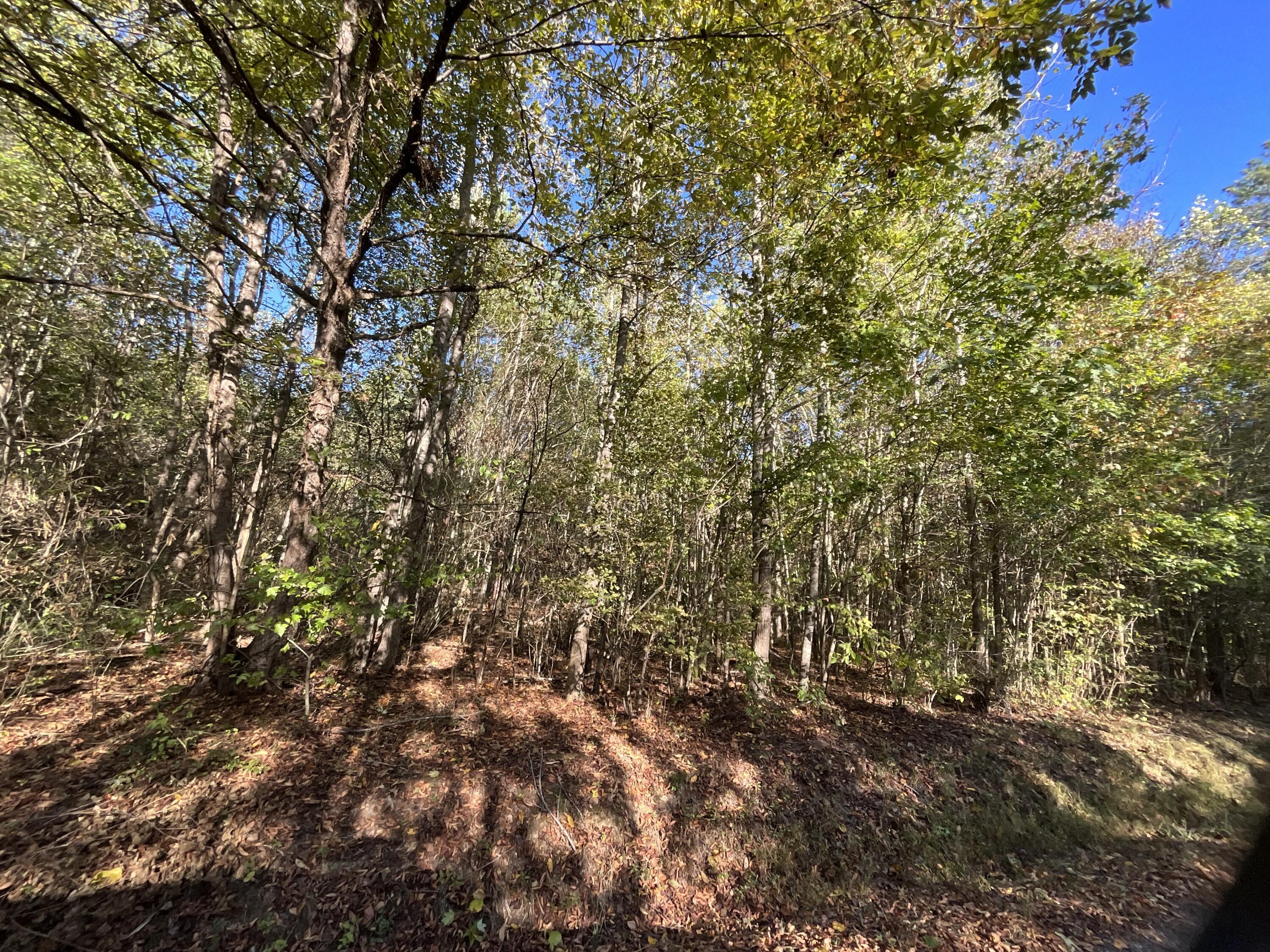0 Ponder Creek Road, LaFayette