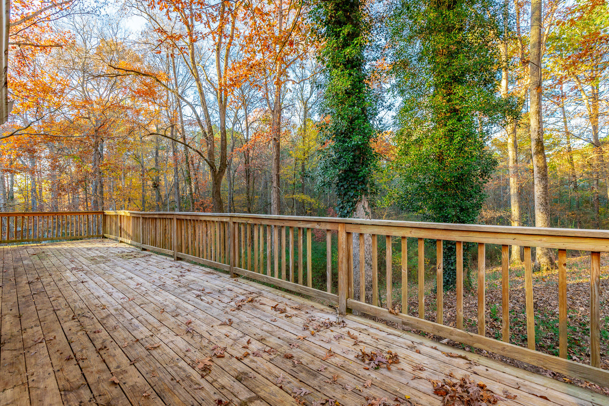 616 Pine Oaks Drive