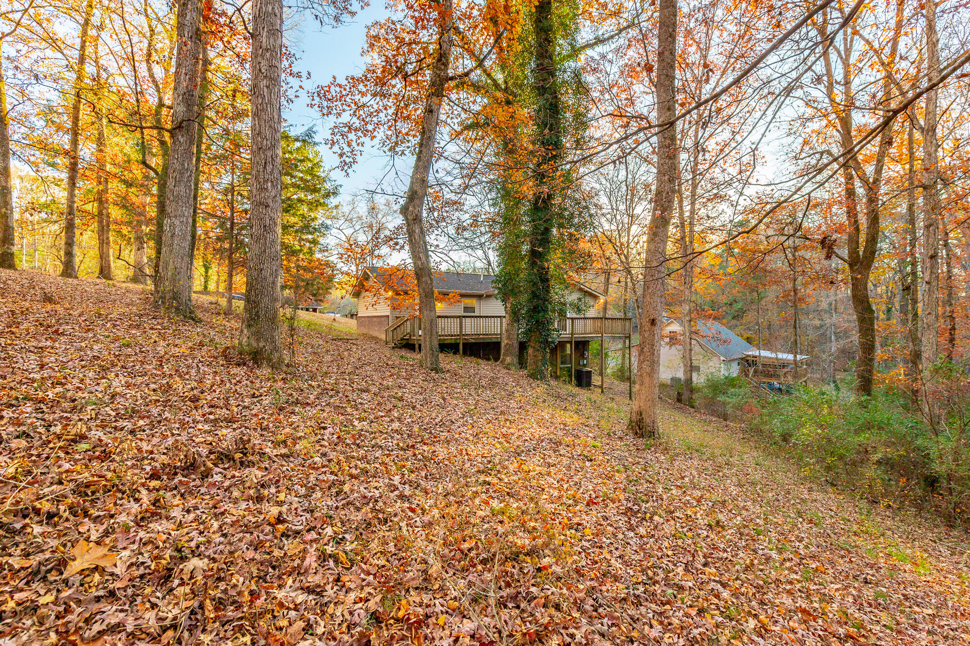 616 Pine Oaks Drive