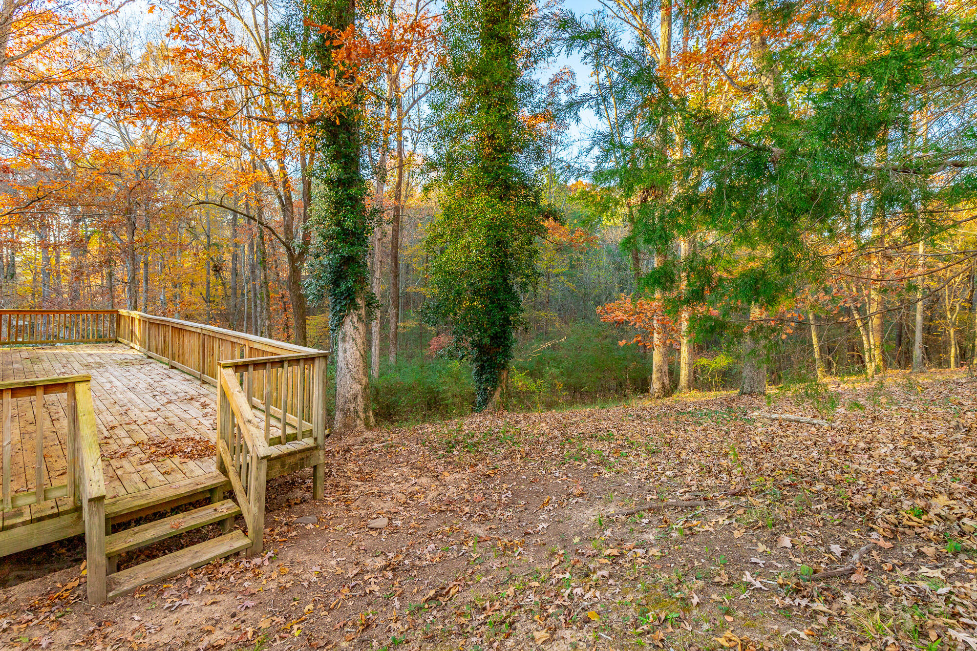 616 Pine Oaks Drive