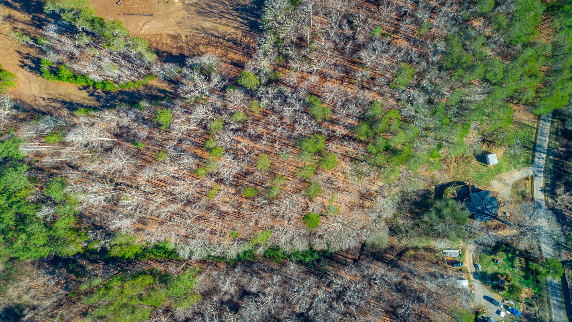 4516 Old Mineral Springs Road, LaFayette