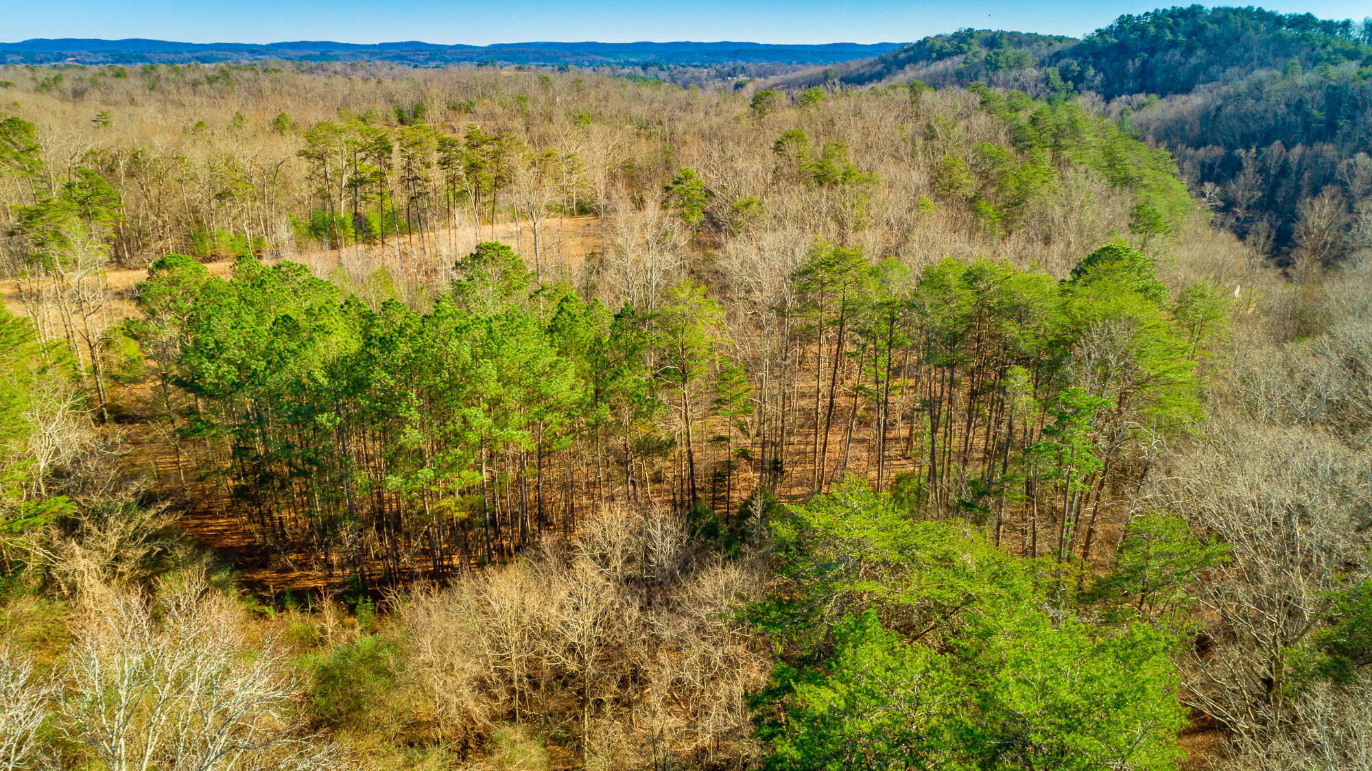 4516 Old Mineral Springs Road, LaFayette